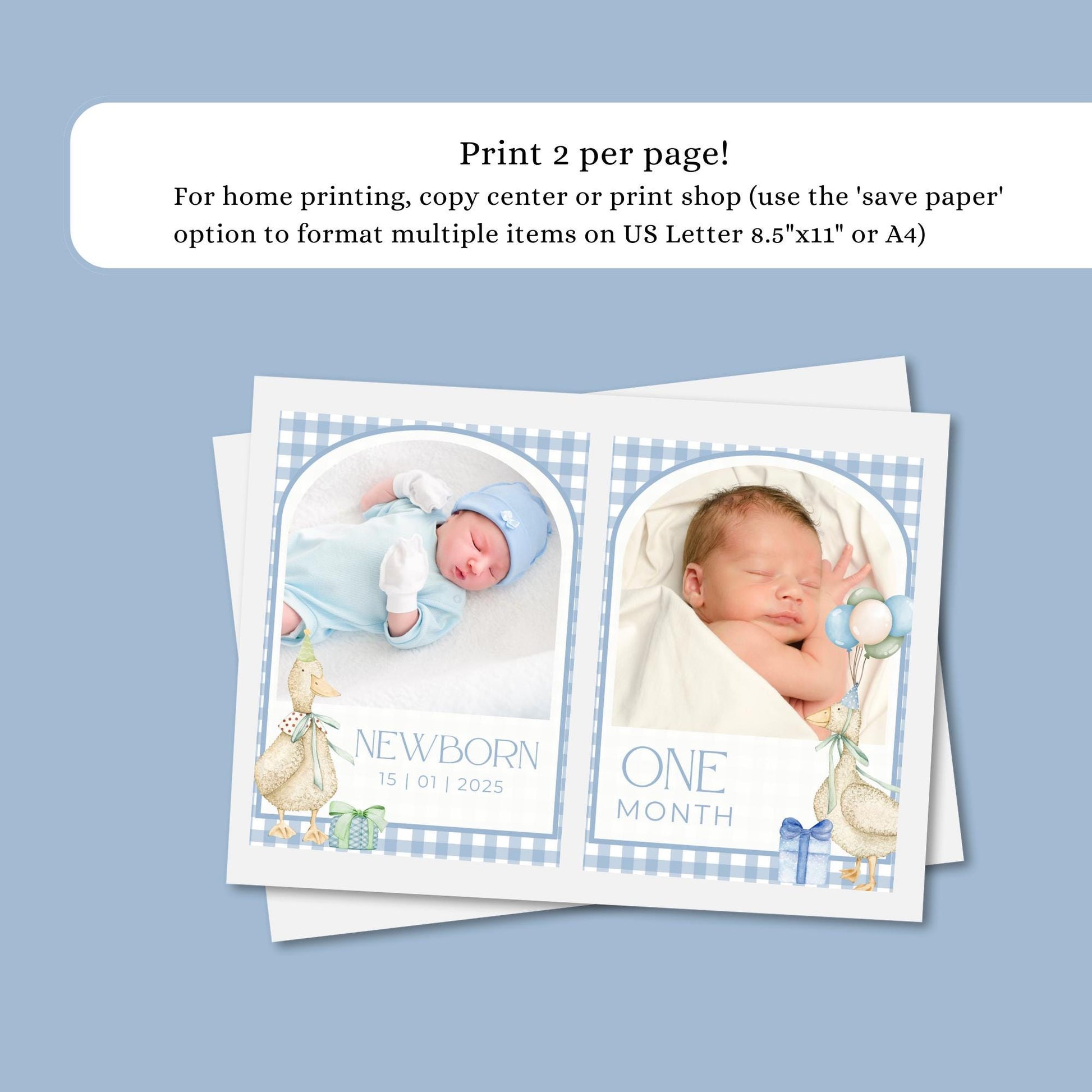 One Silly Goose Birthday Photo Milestone Banner Goose 1st Birthday Bunting Banner Editable Template Monthly Milestone Photo Collage Decor