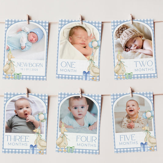 One Silly Goose Birthday Photo Milestone Banner Goose 1st Birthday Bunting Banner Editable Template Monthly Milestone Photo Collage Decor