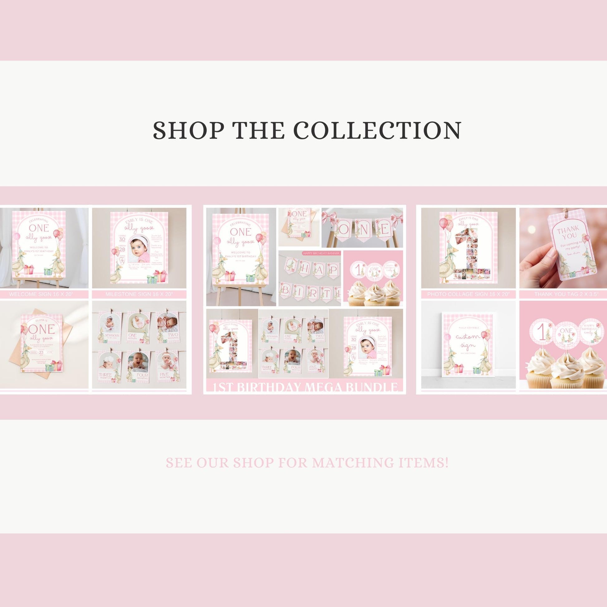 One Silly Goose Birthday Personalized Banner 1st Birthday Silly Goose Party Decor Photo Backdrop Goose Custom Banner First Birthday Ideas