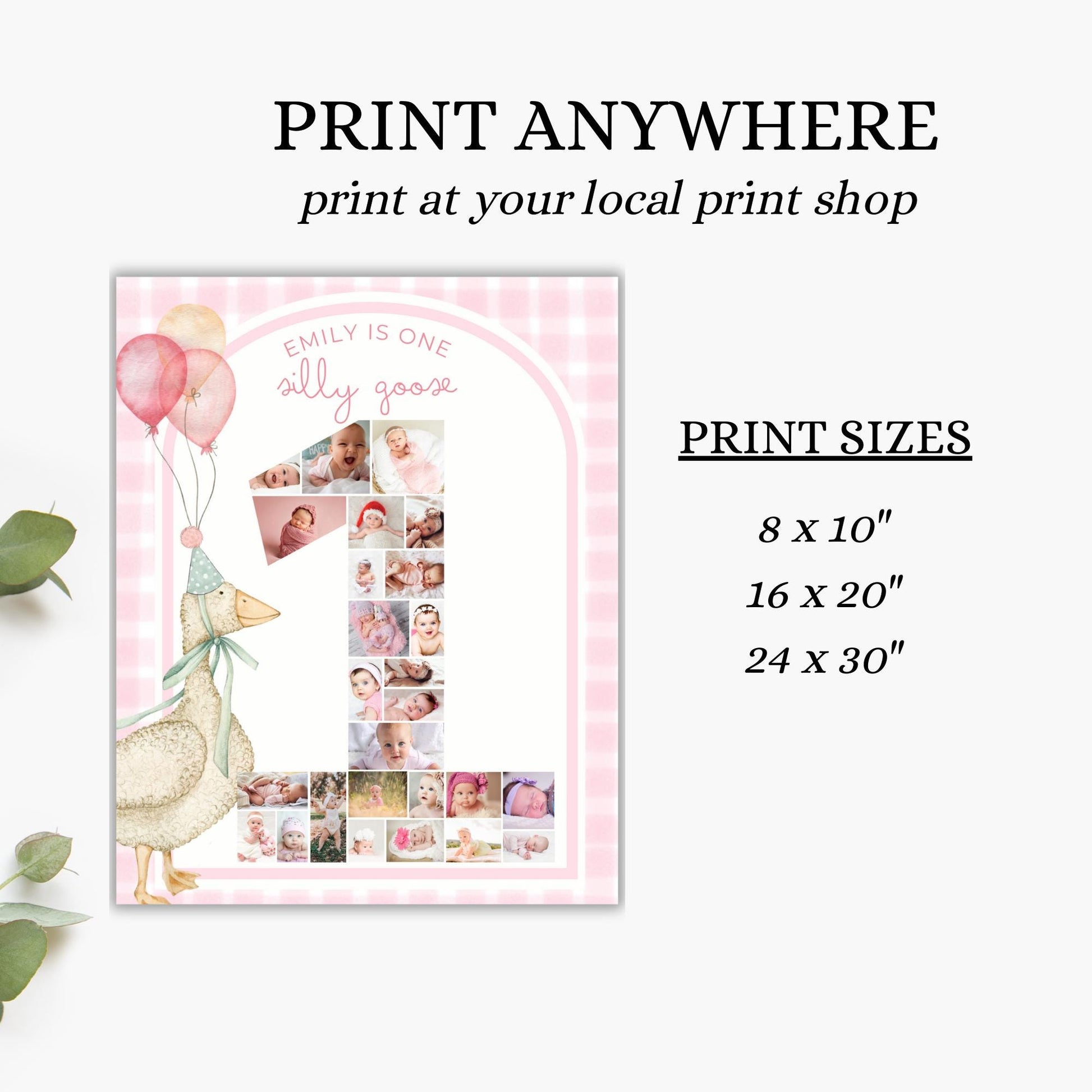 One Silly Goose Birthday Sign Photo Collage Editable Silly Goose Party Monthly Banner 1st Birthday Photo Banner Milestone photo sign