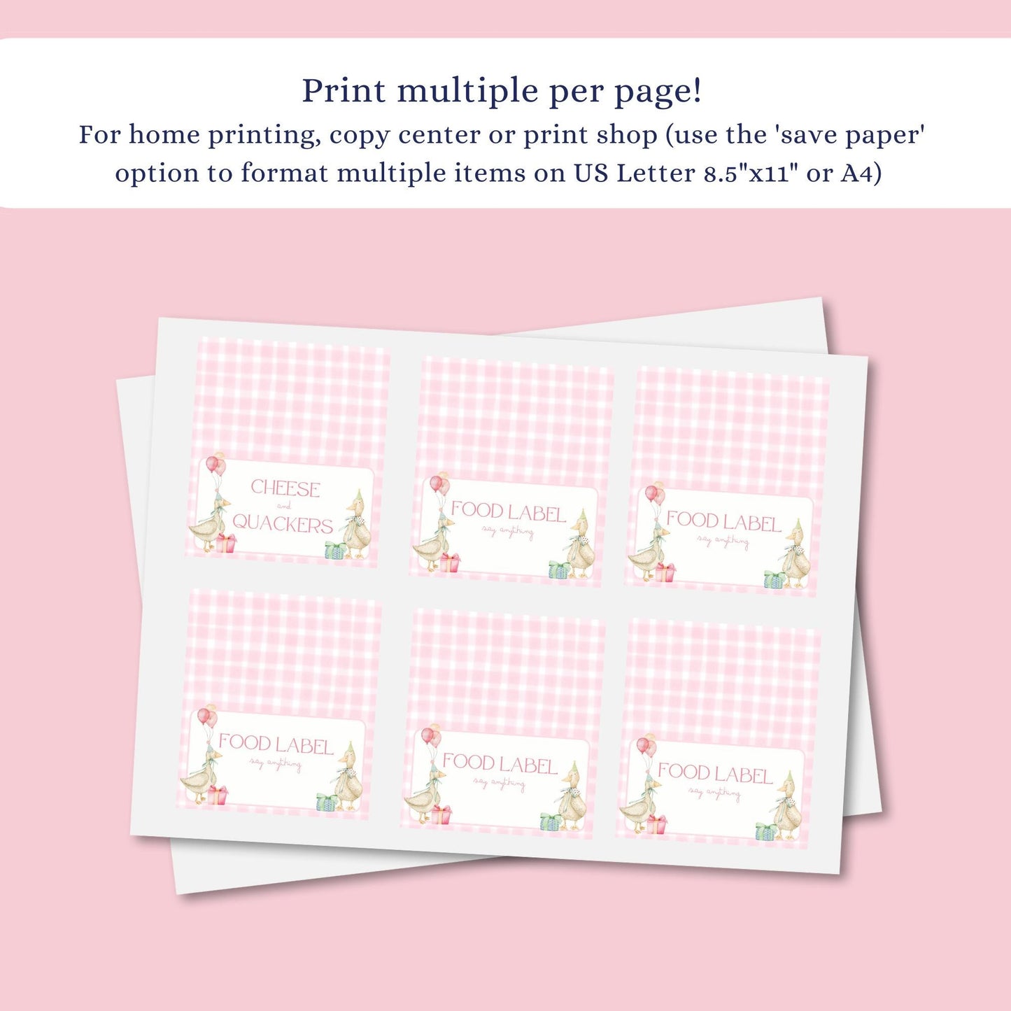 Silly Goose Birthday Food Label Template Goose 1st Birthday Food Table Decor First Birthday Buffet Label Silly Goose 1st Birthday Ideas