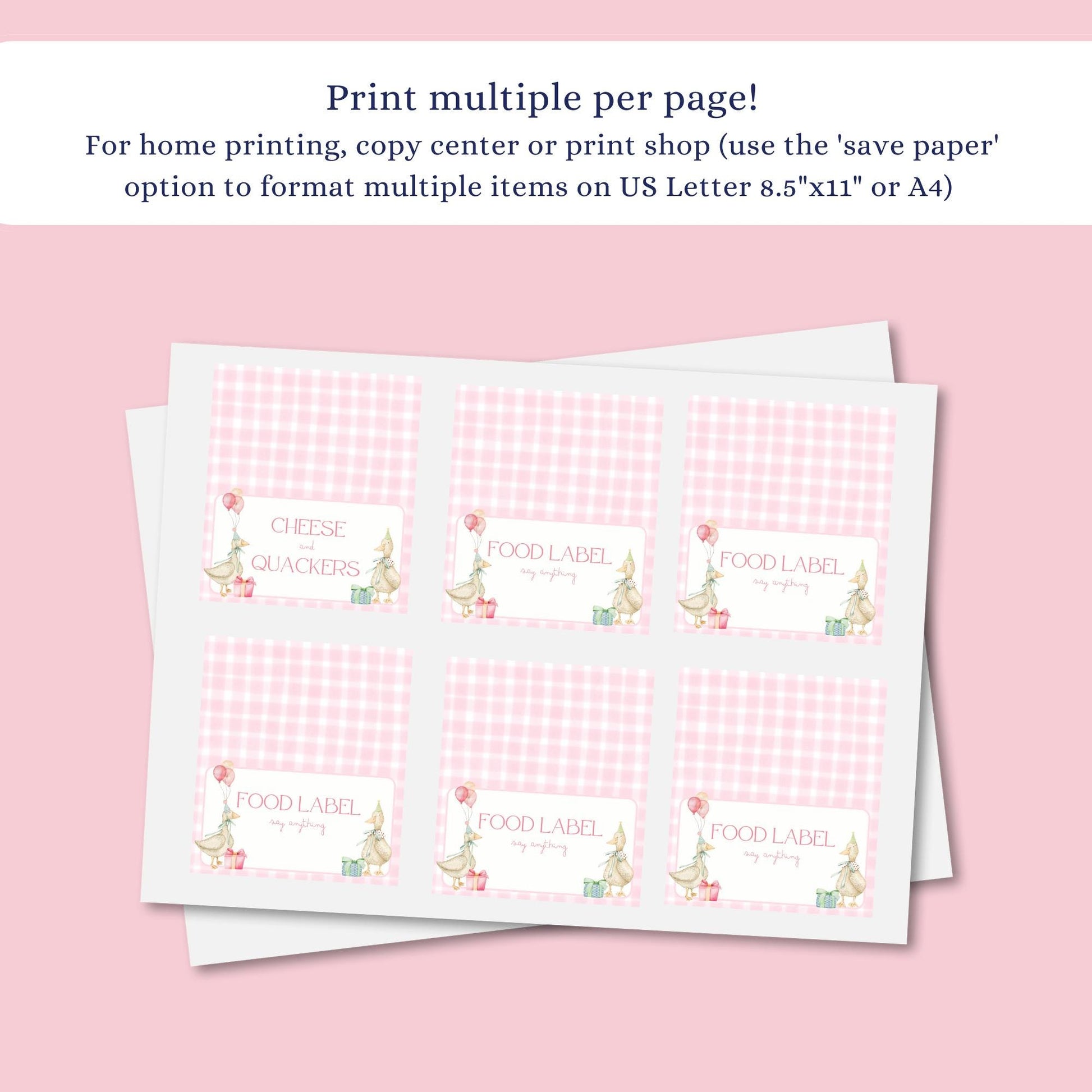 Silly Goose Birthday Food Label Template Goose 1st Birthday Food Table Decor First Birthday Buffet Label Silly Goose 1st Birthday Ideas