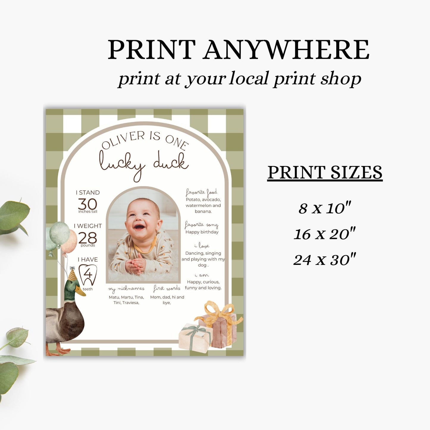 One Lucky Duck Birthday Milestone Sign Editable Mallard Duck Party Monthly Banner 1st Birthday Photo Banner Milestone photo sign