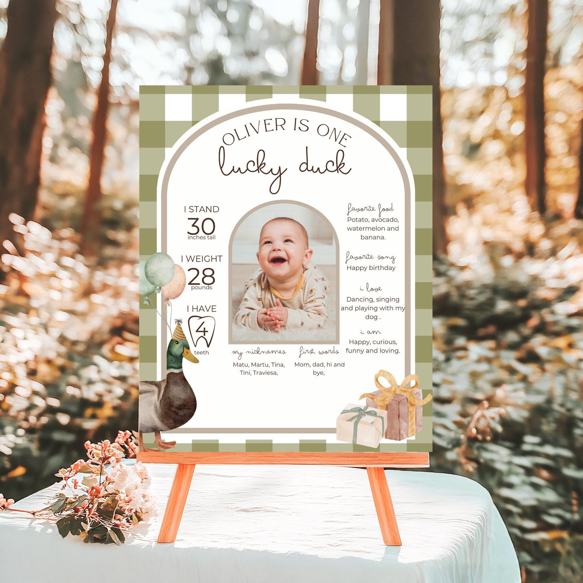 One Lucky Duck Birthday Milestone Sign Editable Mallard Duck Party Monthly Banner 1st Birthday Photo Banner Milestone photo sign