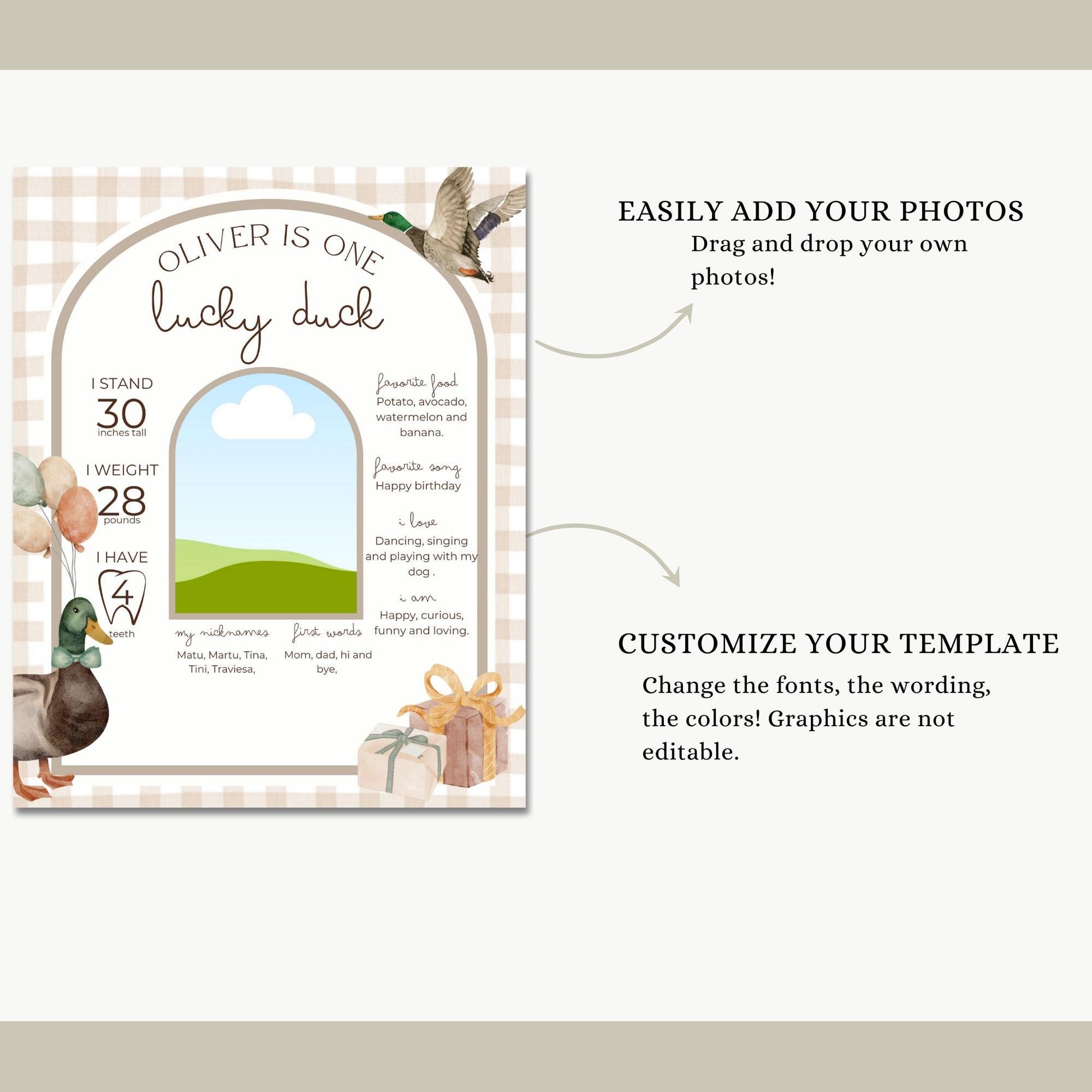 One Lucky Duck Birthday Milestone Sign Editable Mallard Duck Party Monthly Banner 1st Birthday Photo Banner Milestone photo sign