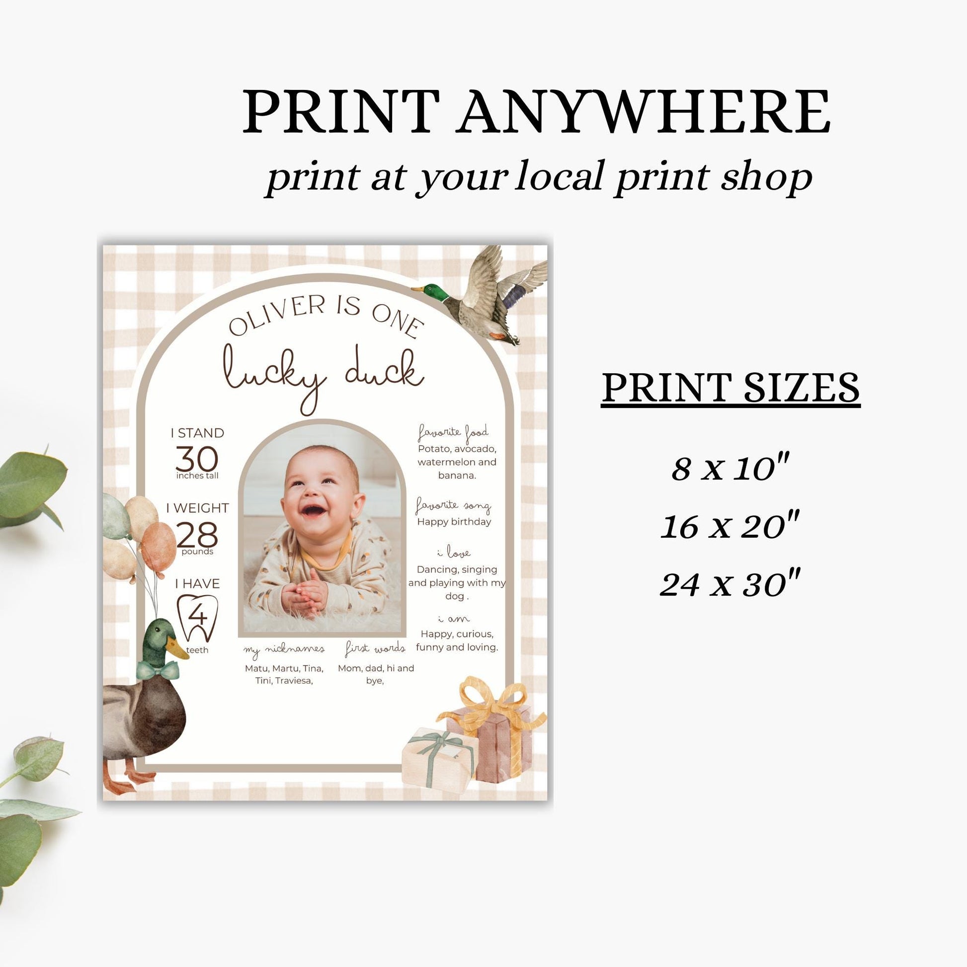 One Lucky Duck Birthday Milestone Sign Editable Mallard Duck Party Monthly Banner 1st Birthday Photo Banner Milestone photo sign