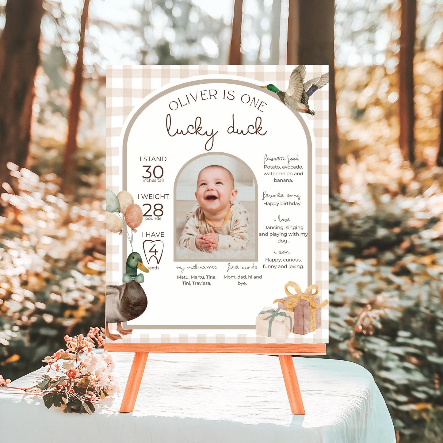 One Lucky Duck Birthday Milestone Sign Editable Mallard Duck Party Monthly Banner 1st Birthday Photo Banner Milestone photo sign