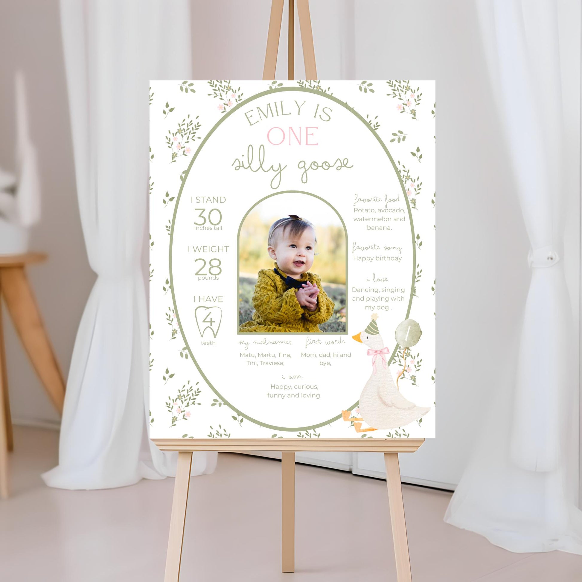 One Silly Goose Birthday Milestone Sign Editable Silly Goose Party Monthly Banner 1st Birthday Photo Banner Milestone photo sign