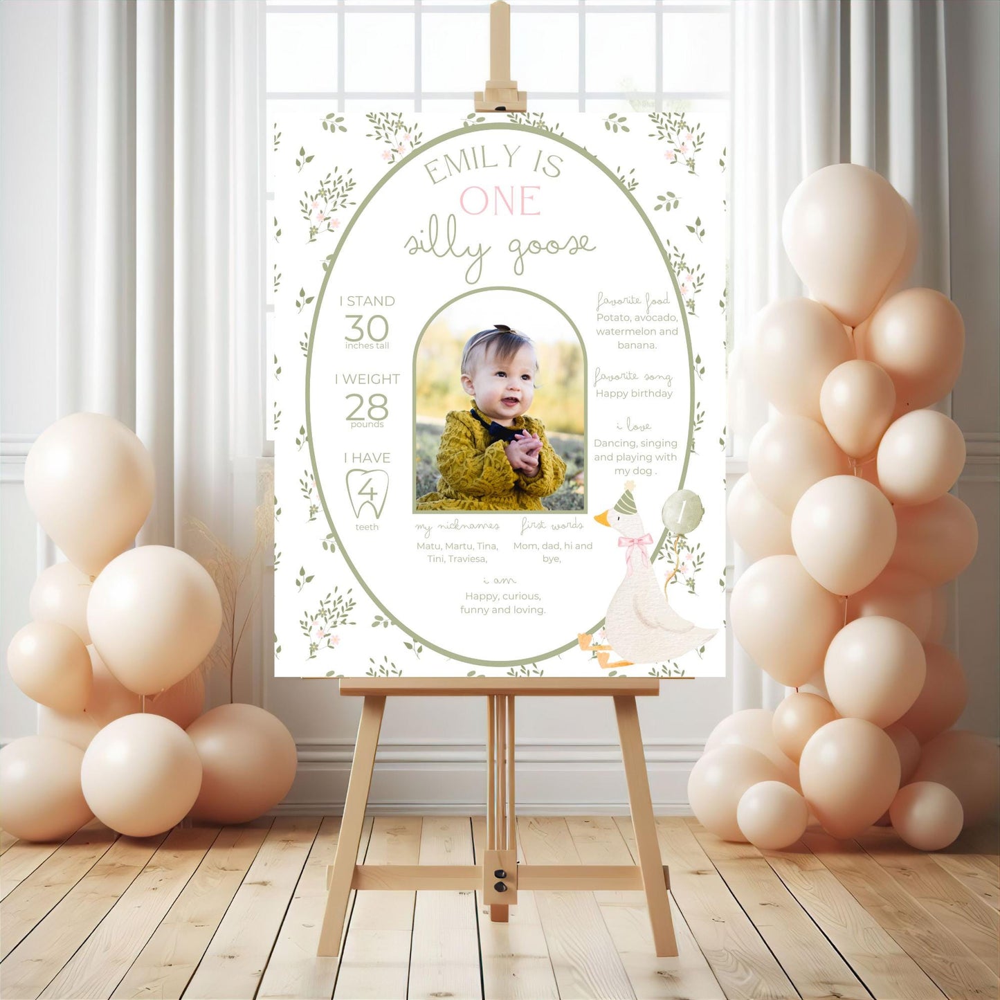 One Silly Goose Birthday Milestone Sign Editable Silly Goose Party Monthly Banner 1st Birthday Photo Banner Milestone photo sign