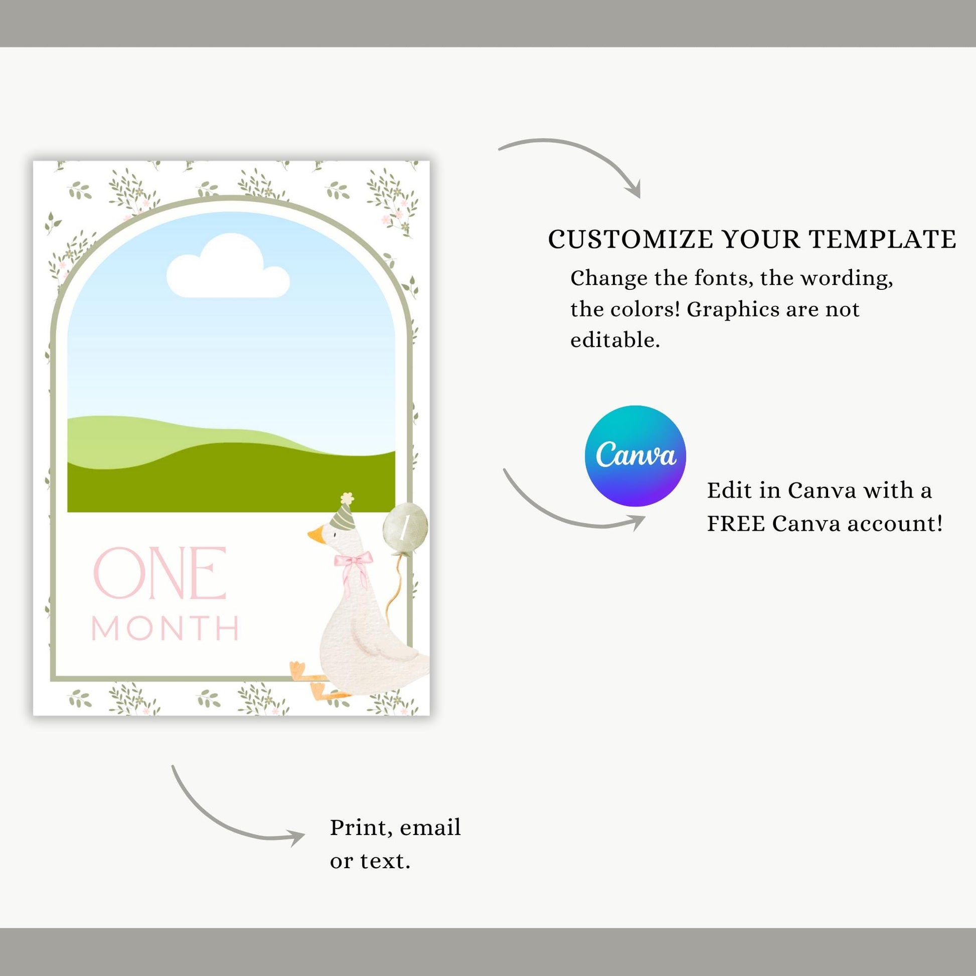 One Silly Goose Birthday Photo Milestone Banner Goose 1st Birthday Bunting Banner Editable Template Monthly Milestone Photo Collage Decor