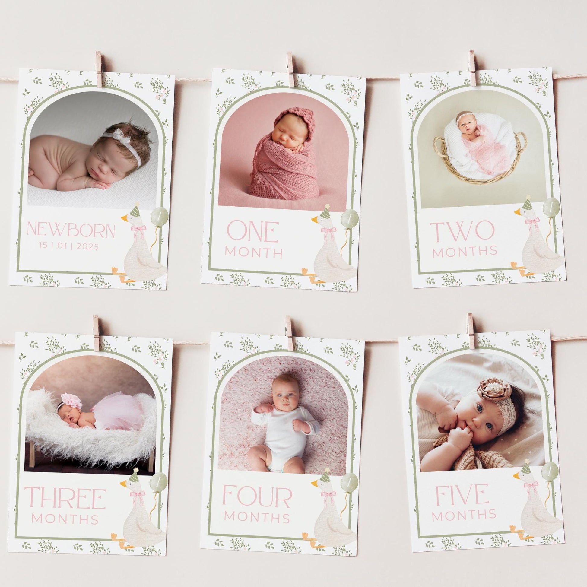 One Silly Goose Birthday Photo Milestone Banner Goose 1st Birthday Bunting Banner Editable Template Monthly Milestone Photo Collage Decor