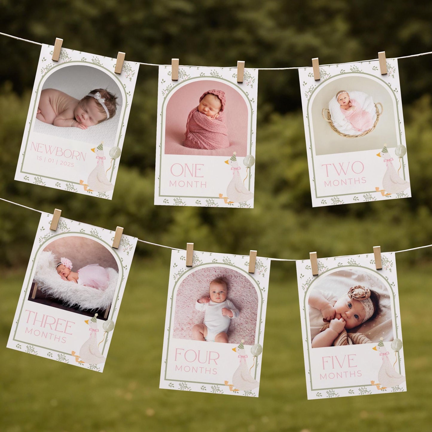 One Silly Goose Birthday Photo Milestone Banner Goose 1st Birthday Bunting Banner Editable Template Monthly Milestone Photo Collage Decor