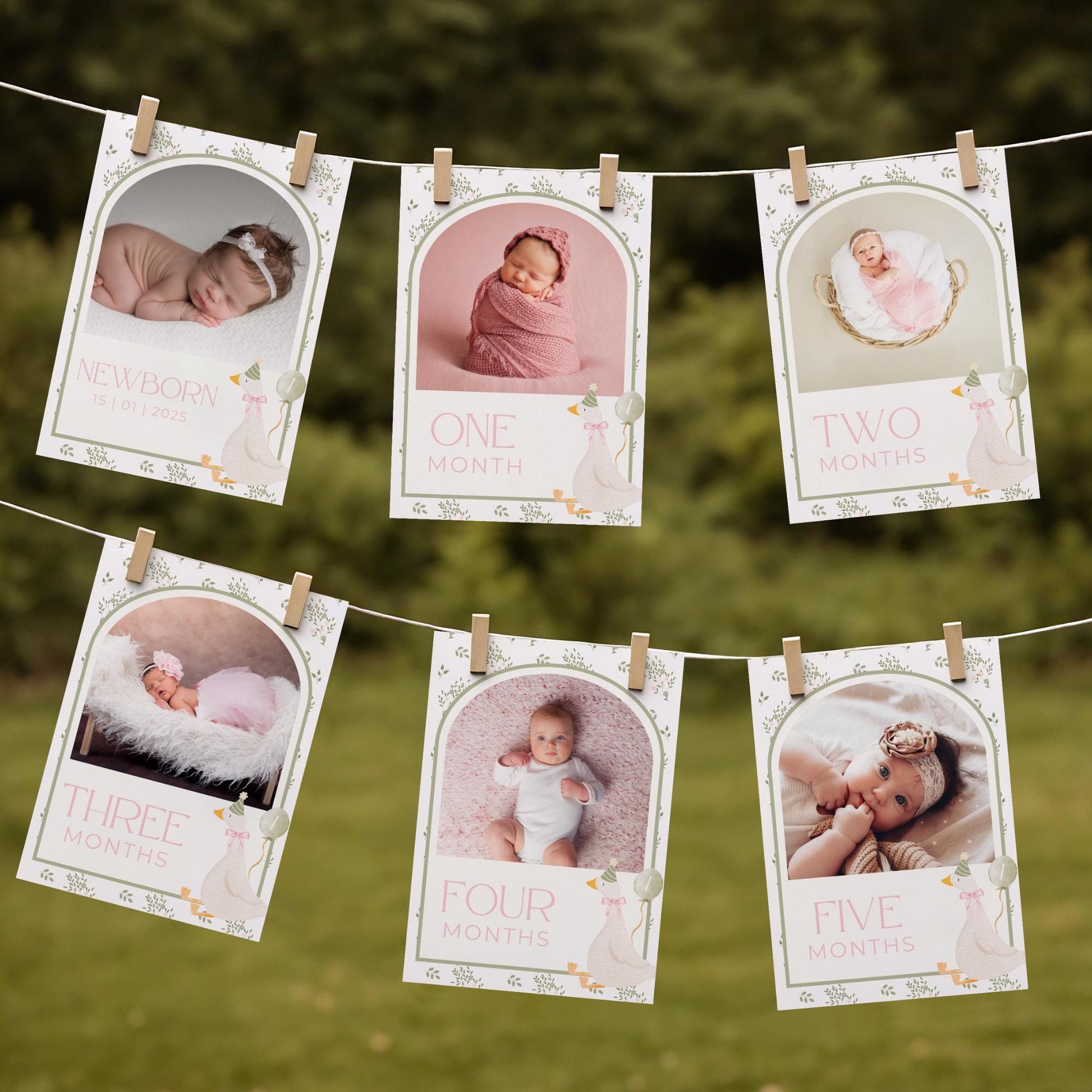 One Silly Goose Birthday Photo Milestone Banner Goose 1st Birthday Bunting Banner Editable Template Monthly Milestone Photo Collage Decor