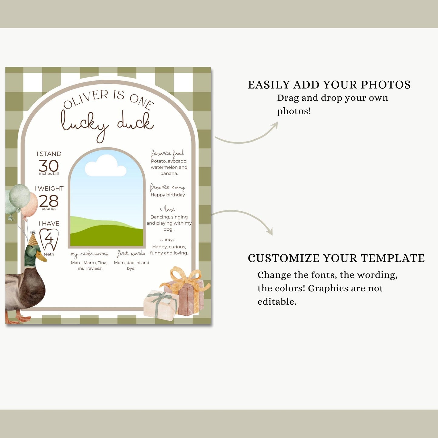 One Lucky Duck Birthday Milestone Sign Editable Mallard Duck Party Monthly Banner 1st Birthday Photo Banner Milestone photo sign