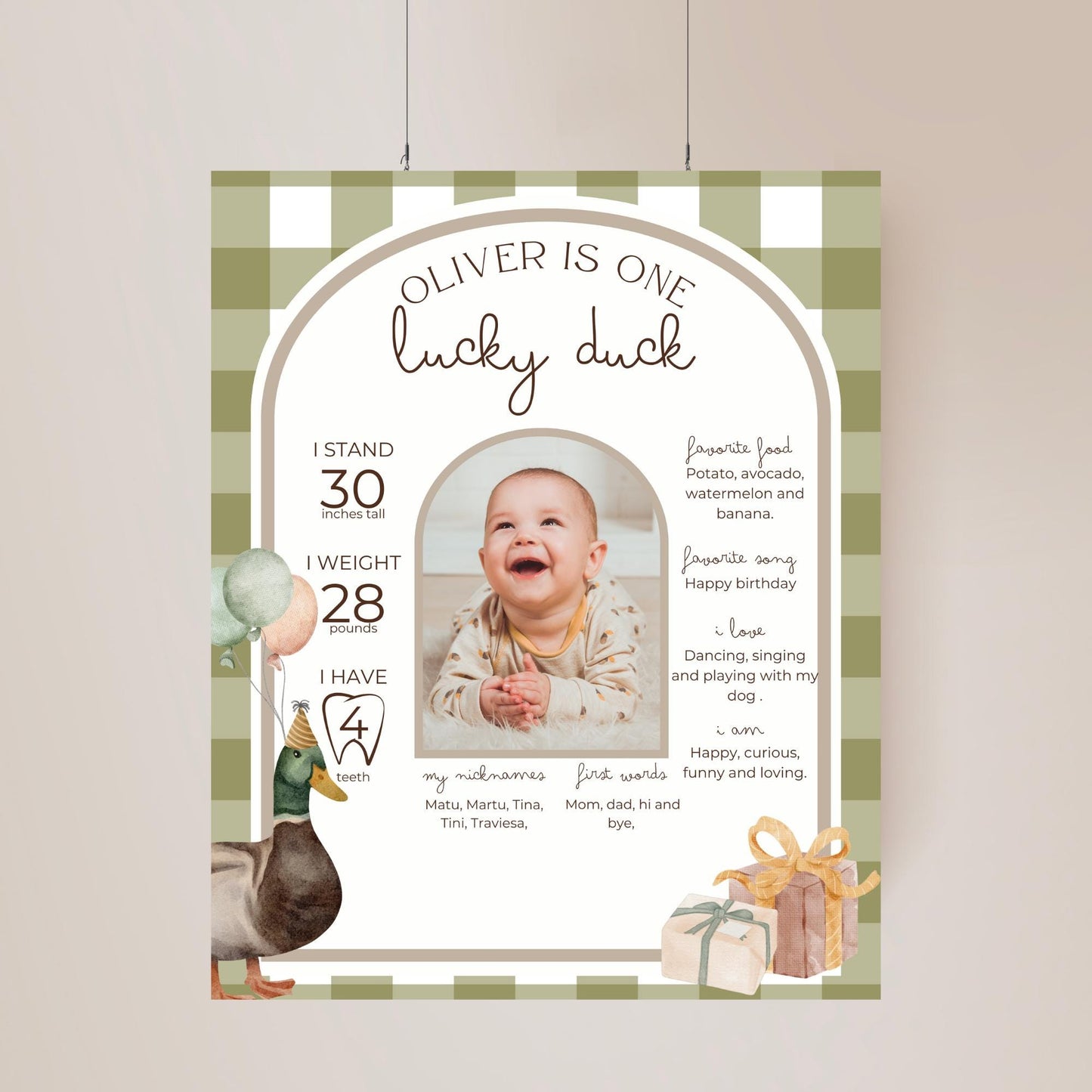 One Lucky Duck Birthday Milestone Sign Editable Mallard Duck Party Monthly Banner 1st Birthday Photo Banner Milestone photo sign