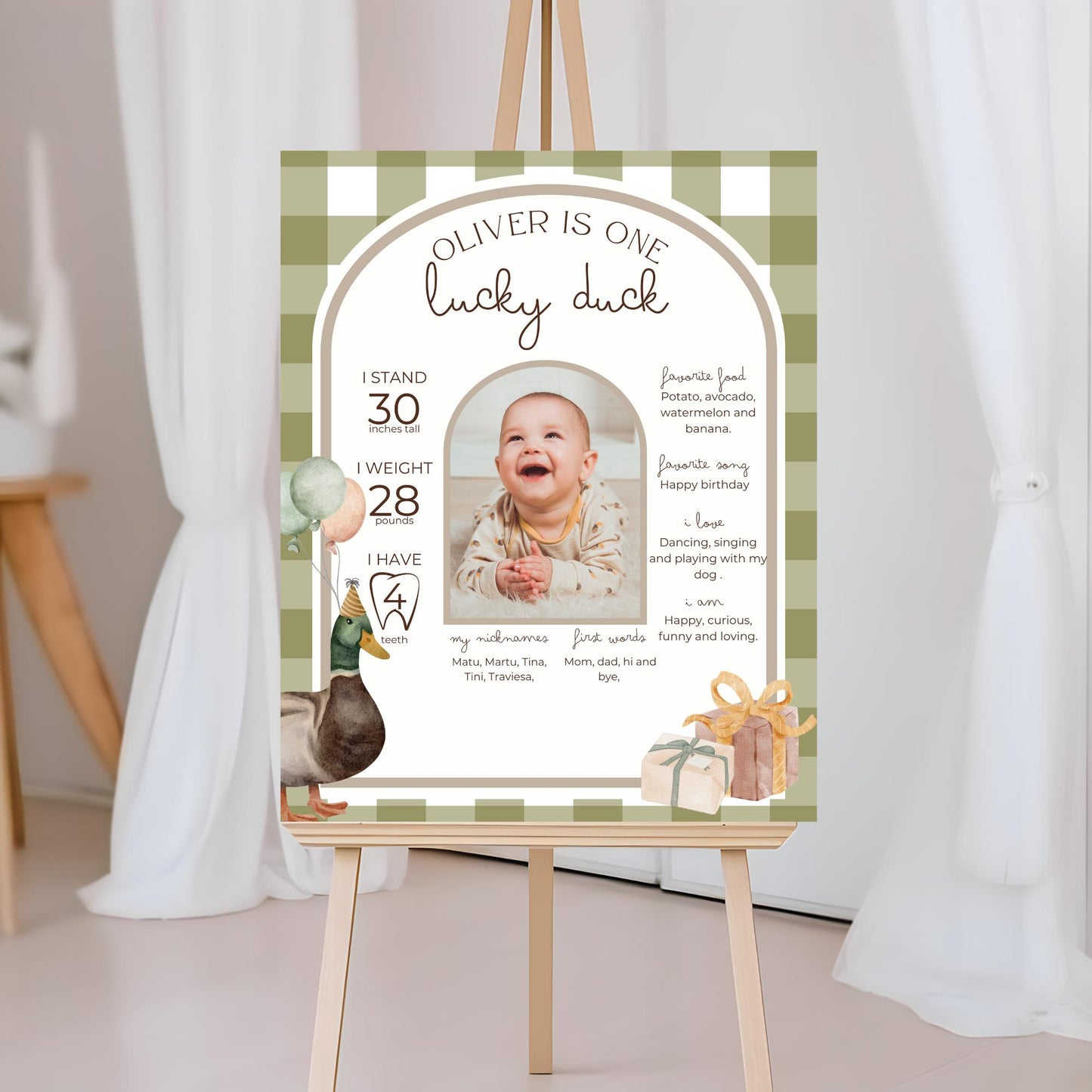 One Lucky Duck Birthday Milestone Sign Editable Mallard Duck Party Monthly Banner 1st Birthday Photo Banner Milestone photo sign