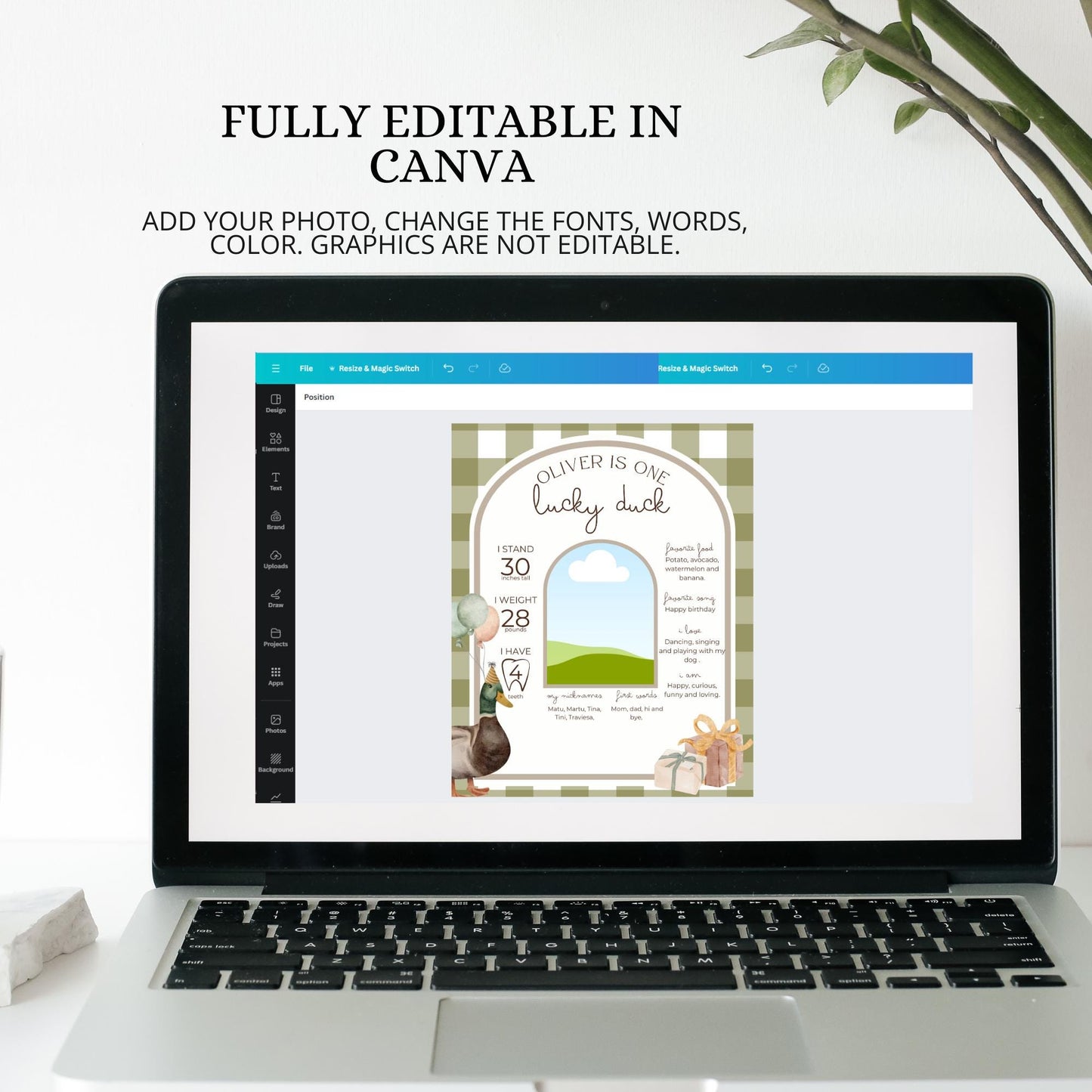 One Lucky Duck Birthday Milestone Sign Editable Mallard Duck Party Monthly Banner 1st Birthday Photo Banner Milestone photo sign