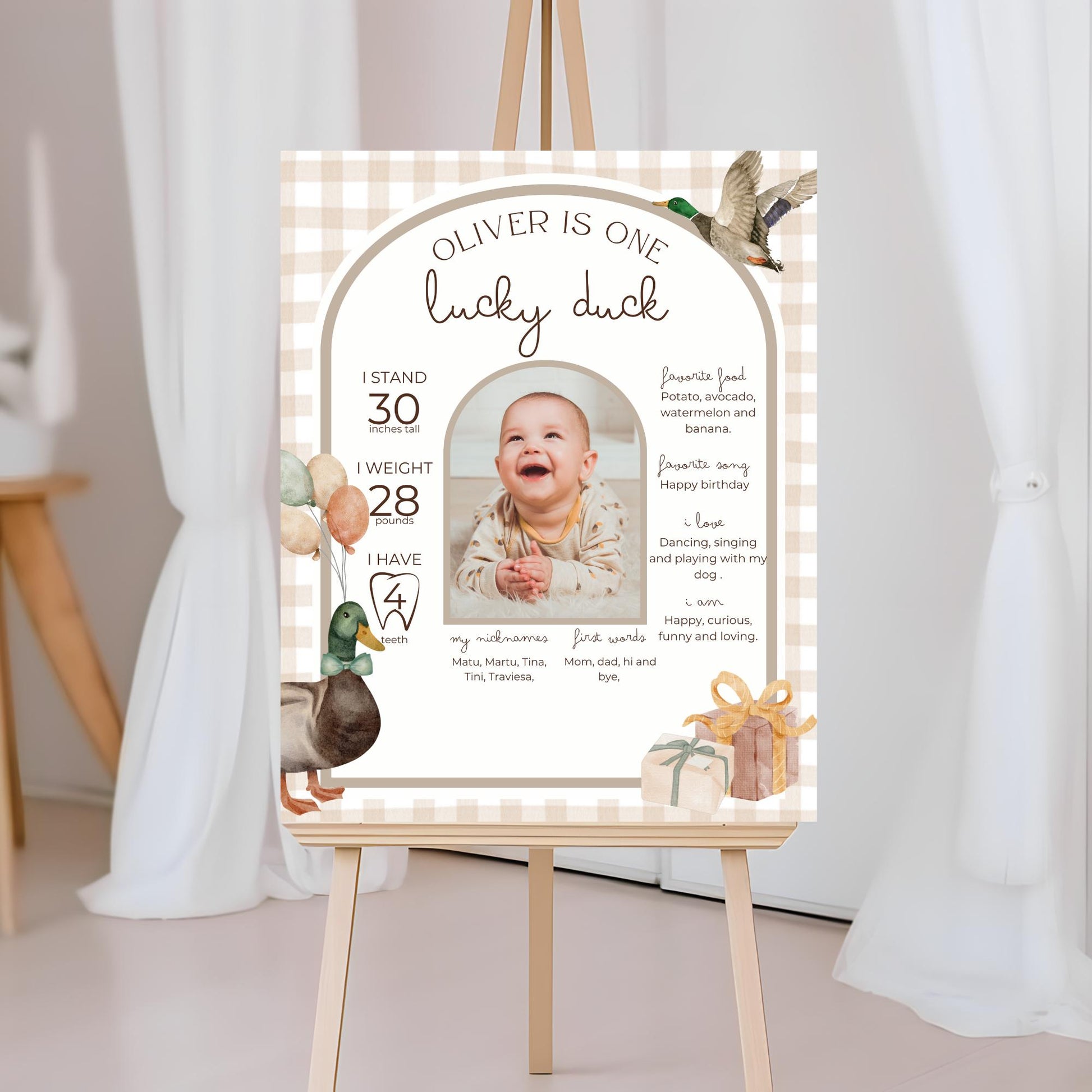 One Lucky Duck Birthday Milestone Sign Editable Mallard Duck Party Monthly Banner 1st Birthday Photo Banner Milestone photo sign