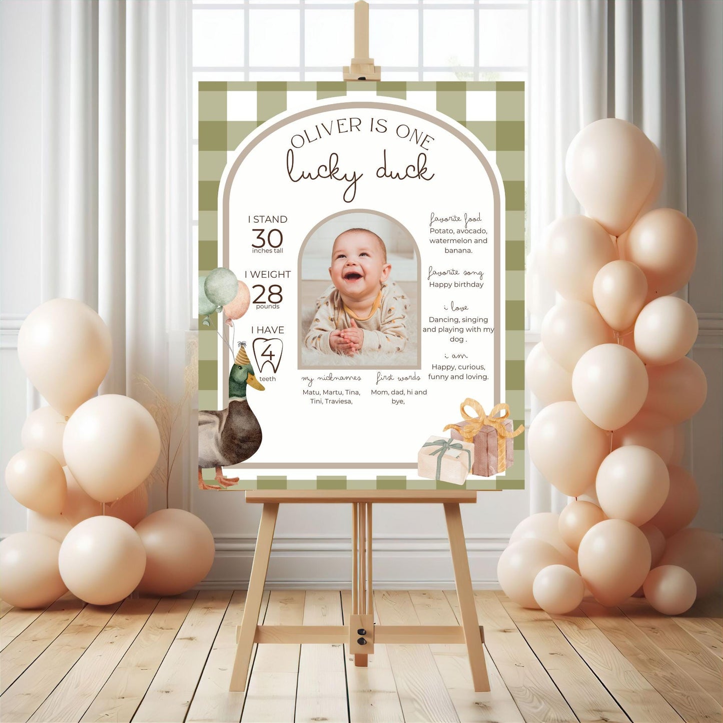 One Lucky Duck Birthday Milestone Sign Editable Mallard Duck Party Monthly Banner 1st Birthday Photo Banner Milestone photo sign