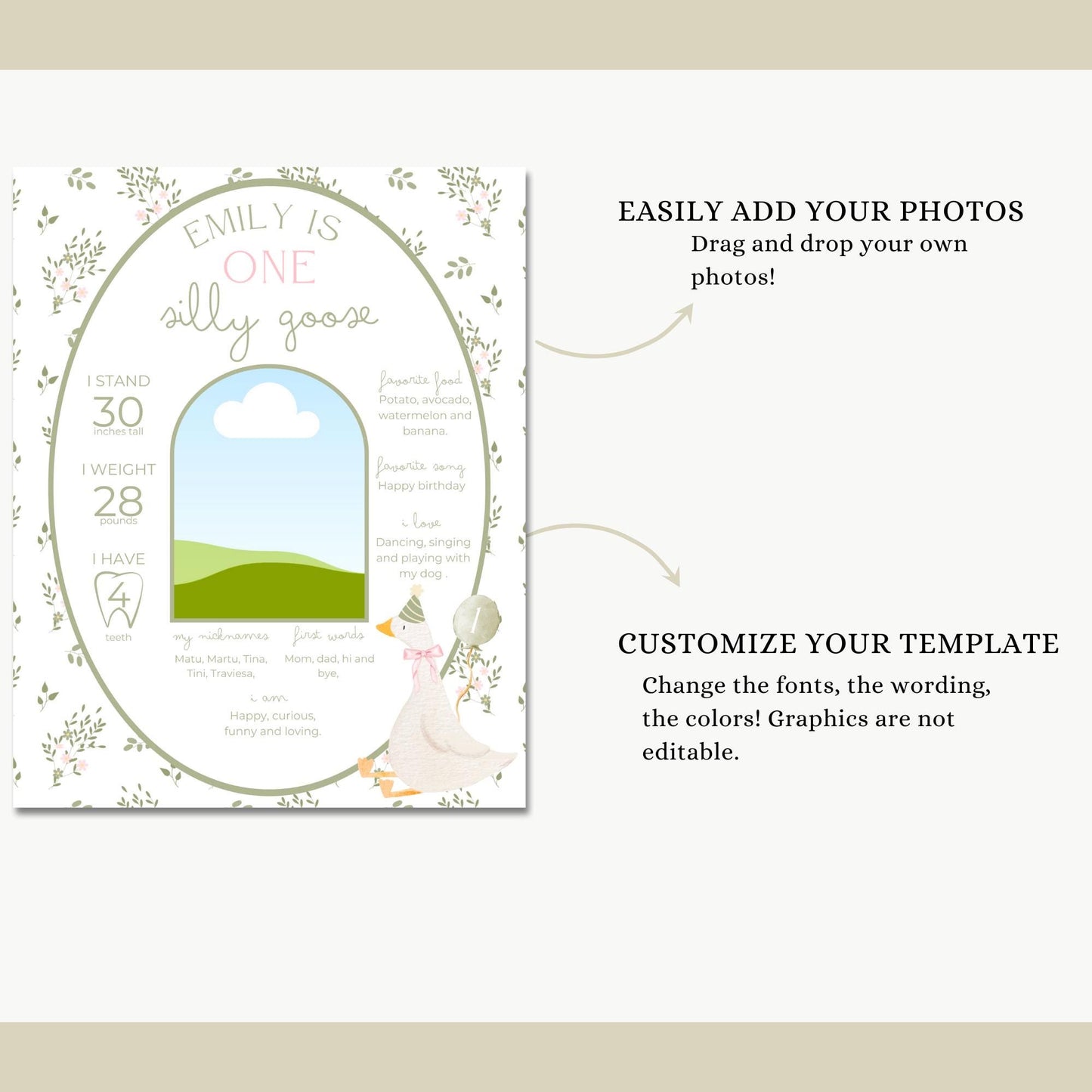 One Silly Goose Birthday Milestone Sign Editable Silly Goose Party Monthly Banner 1st Birthday Photo Banner Milestone photo sign