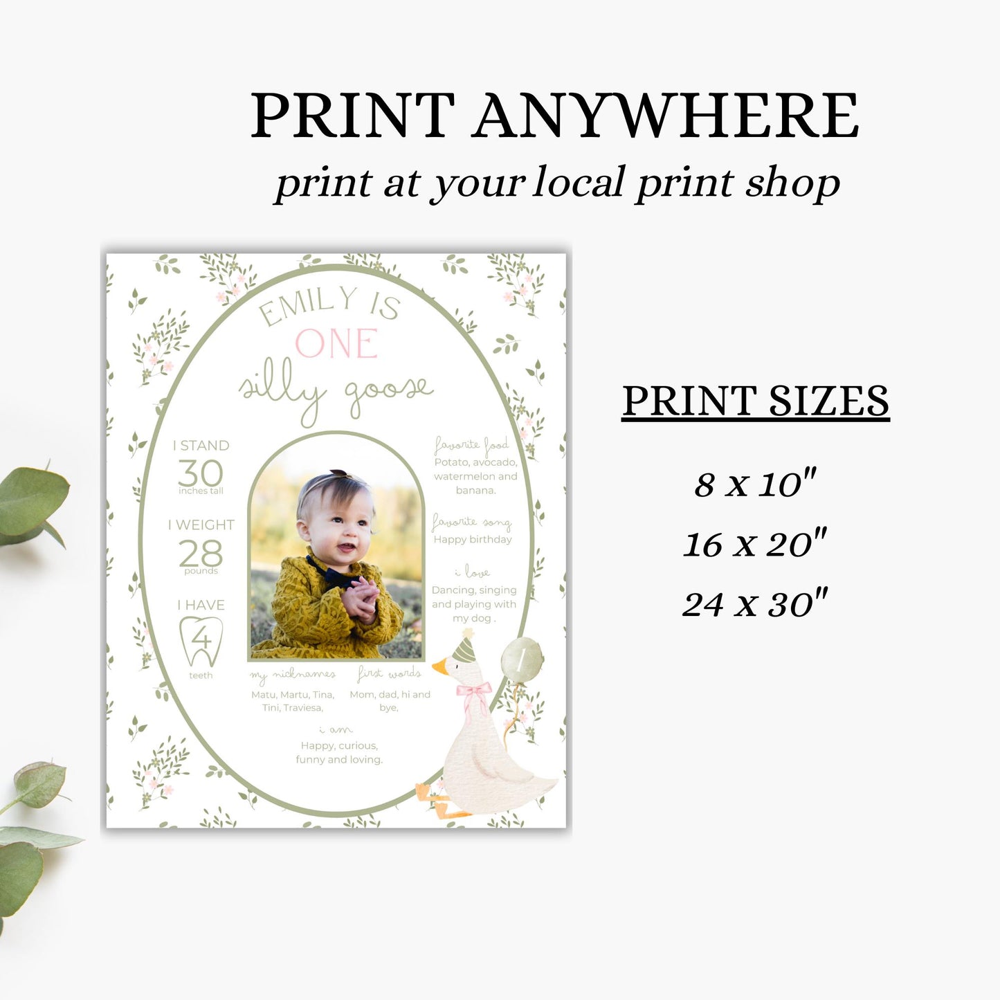 One Silly Goose Birthday Milestone Sign Editable Silly Goose Party Monthly Banner 1st Birthday Photo Banner Milestone photo sign