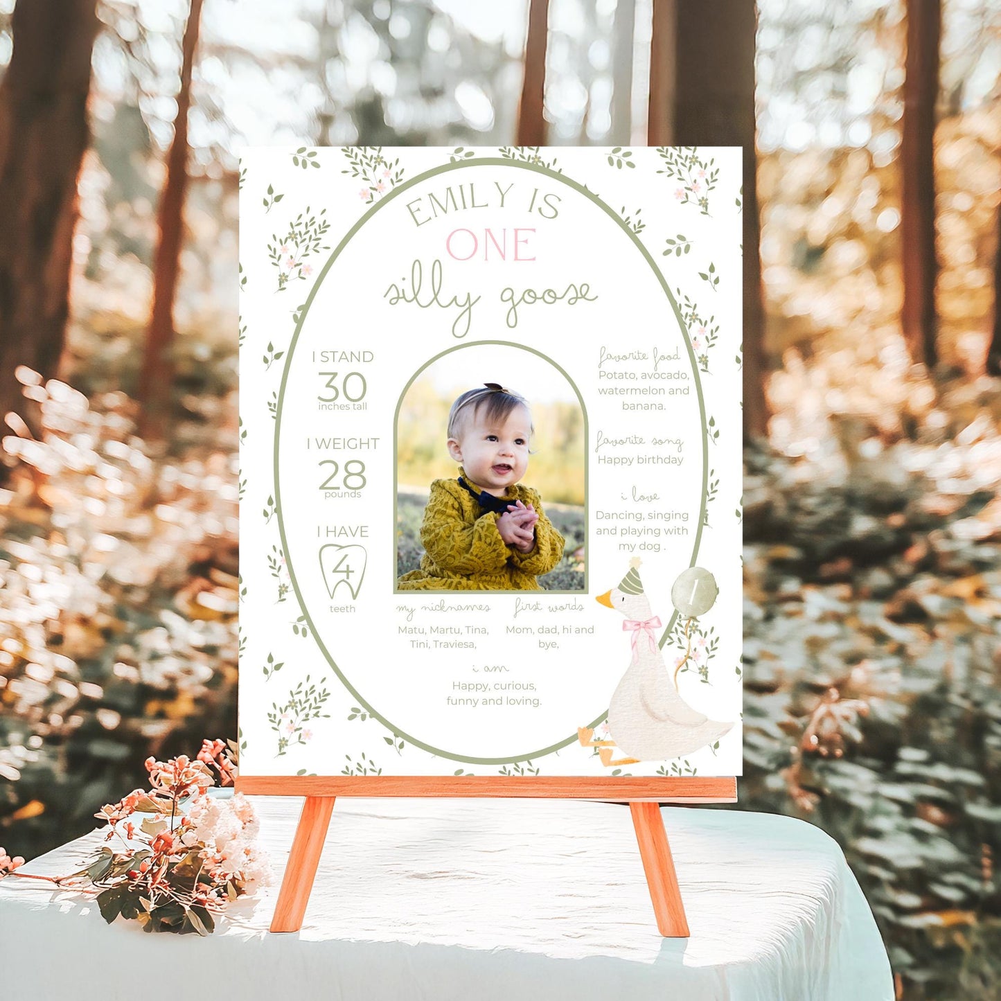 One Silly Goose Birthday Milestone Sign Editable Silly Goose Party Monthly Banner 1st Birthday Photo Banner Milestone photo sign