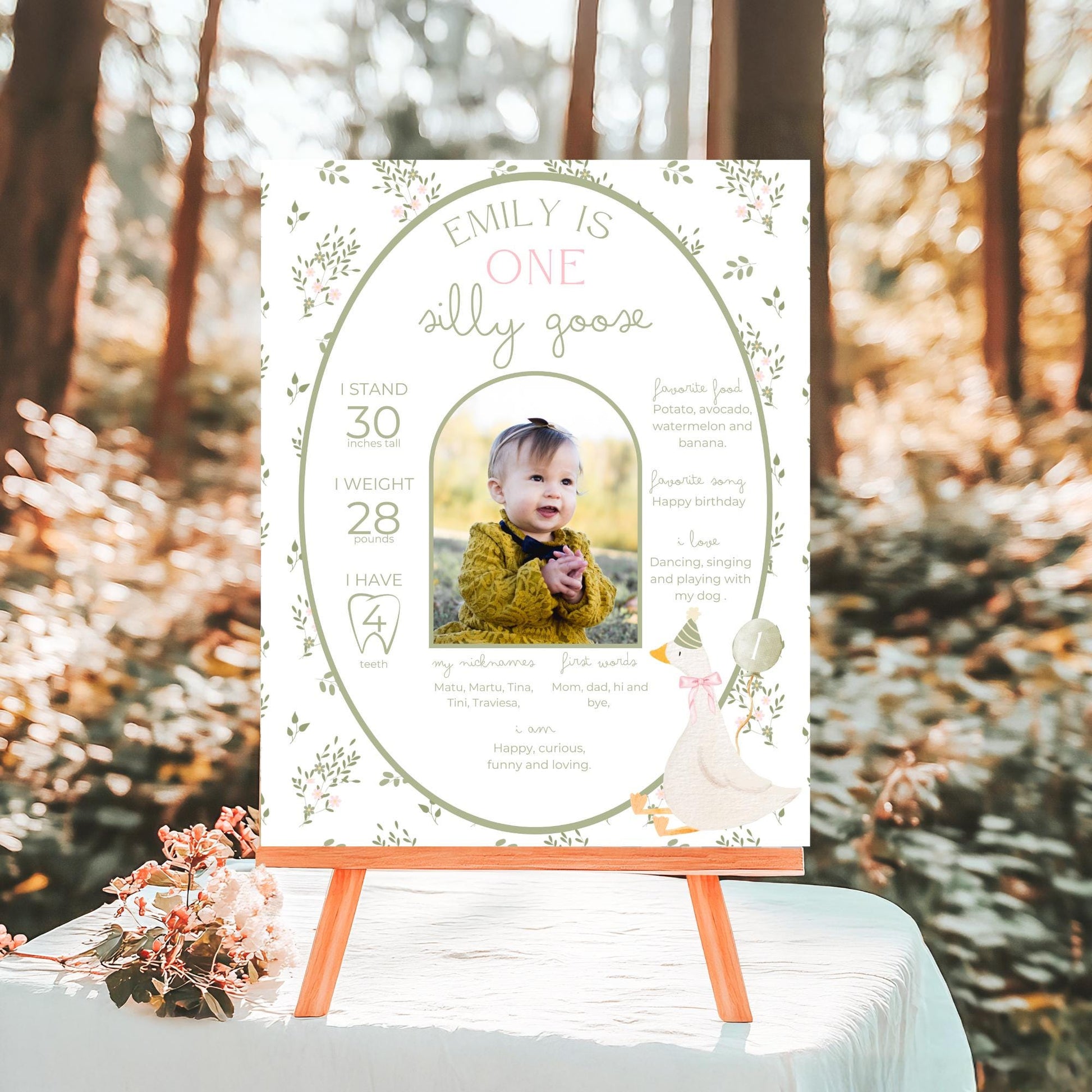 One Silly Goose Birthday Milestone Sign Editable Silly Goose Party Monthly Banner 1st Birthday Photo Banner Milestone photo sign