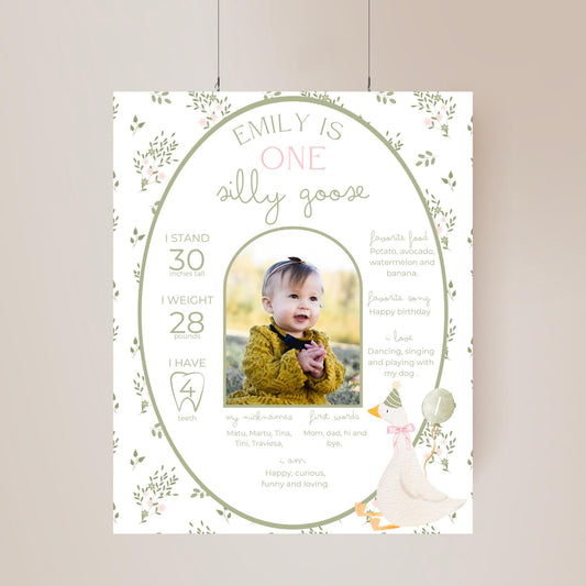 One Silly Goose Birthday Milestone Sign Editable Silly Goose Party Monthly Banner 1st Birthday Photo Banner Milestone photo sign