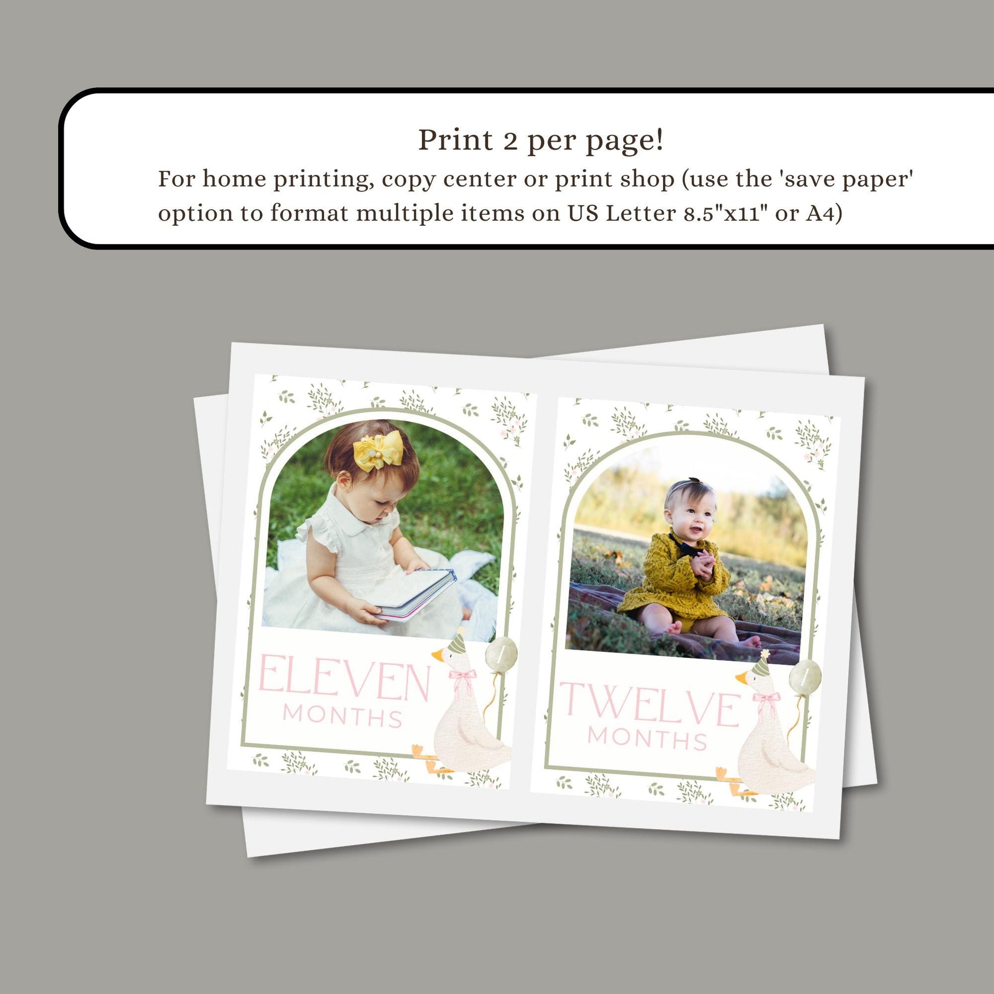 One Silly Goose Birthday Photo Milestone Banner Goose 1st Birthday Bunting Banner Editable Template Monthly Milestone Photo Collage Decor