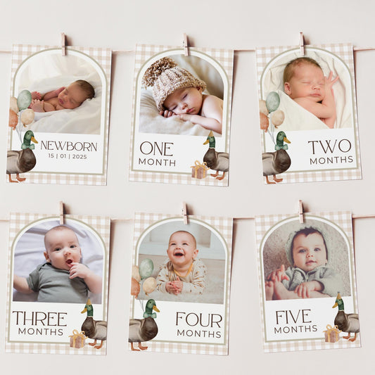 One Lucky Duck Birthday Photo Milestone Banner Mallard Duck 1st Birthday Bunting Banner Editable Template Monthly Milestone Photo Collage