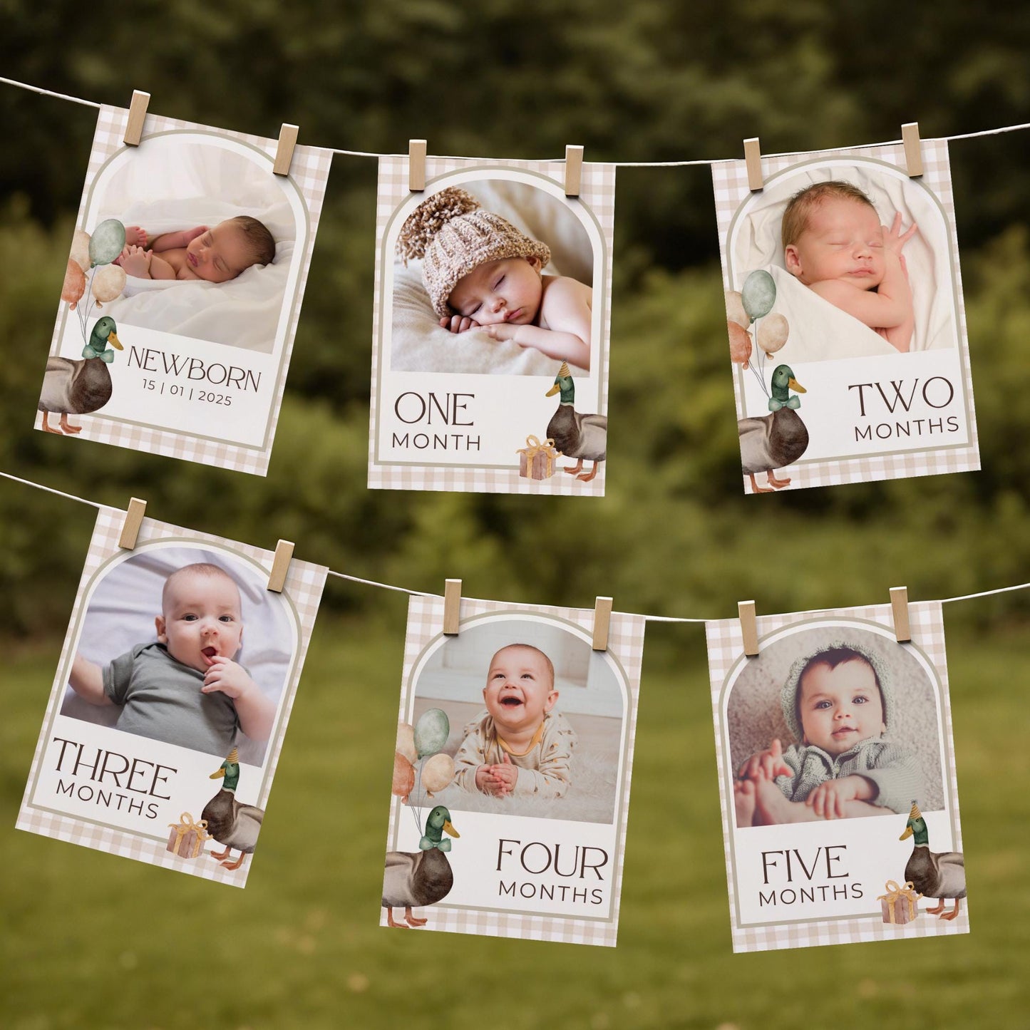 One Lucky Duck Birthday Photo Milestone Banner Mallard Duck 1st Birthday Bunting Banner Editable Template Monthly Milestone Photo Collage