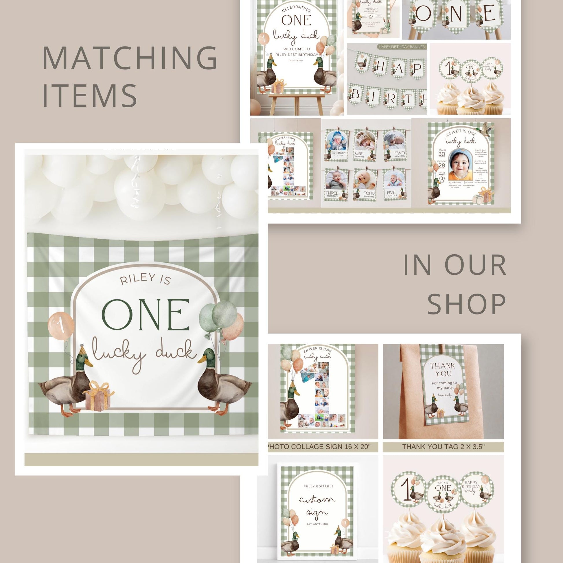 One Lucky Duck Birthday Invitation Boys First Birthday Invite Mallard Duck Watercolor Duck Gingham 1st Birthday Party Invite