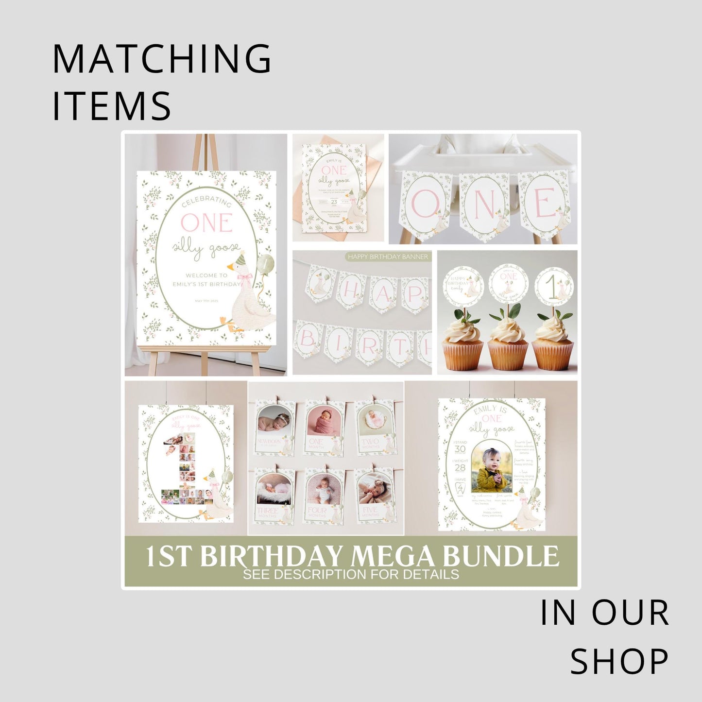 One Silly Goose Birthday Chip Bag Editable Silly Goose Party Chip Bag Label Silly Goose party favors Vintage Floral Goose Printable decor