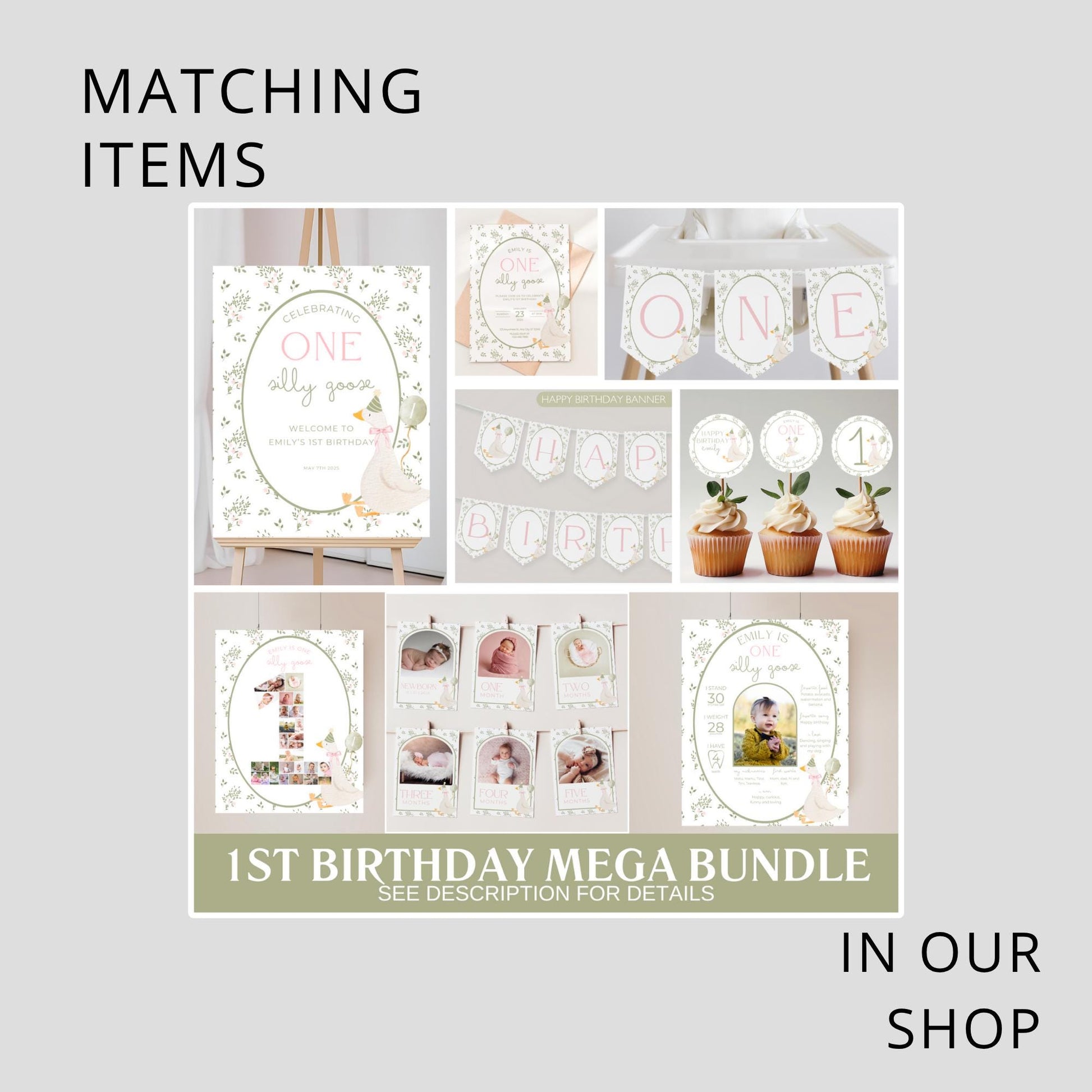 One Silly Goose Birthday Chip Bag Editable Silly Goose Party Chip Bag Label Silly Goose party favors Vintage Floral Goose Printable decor