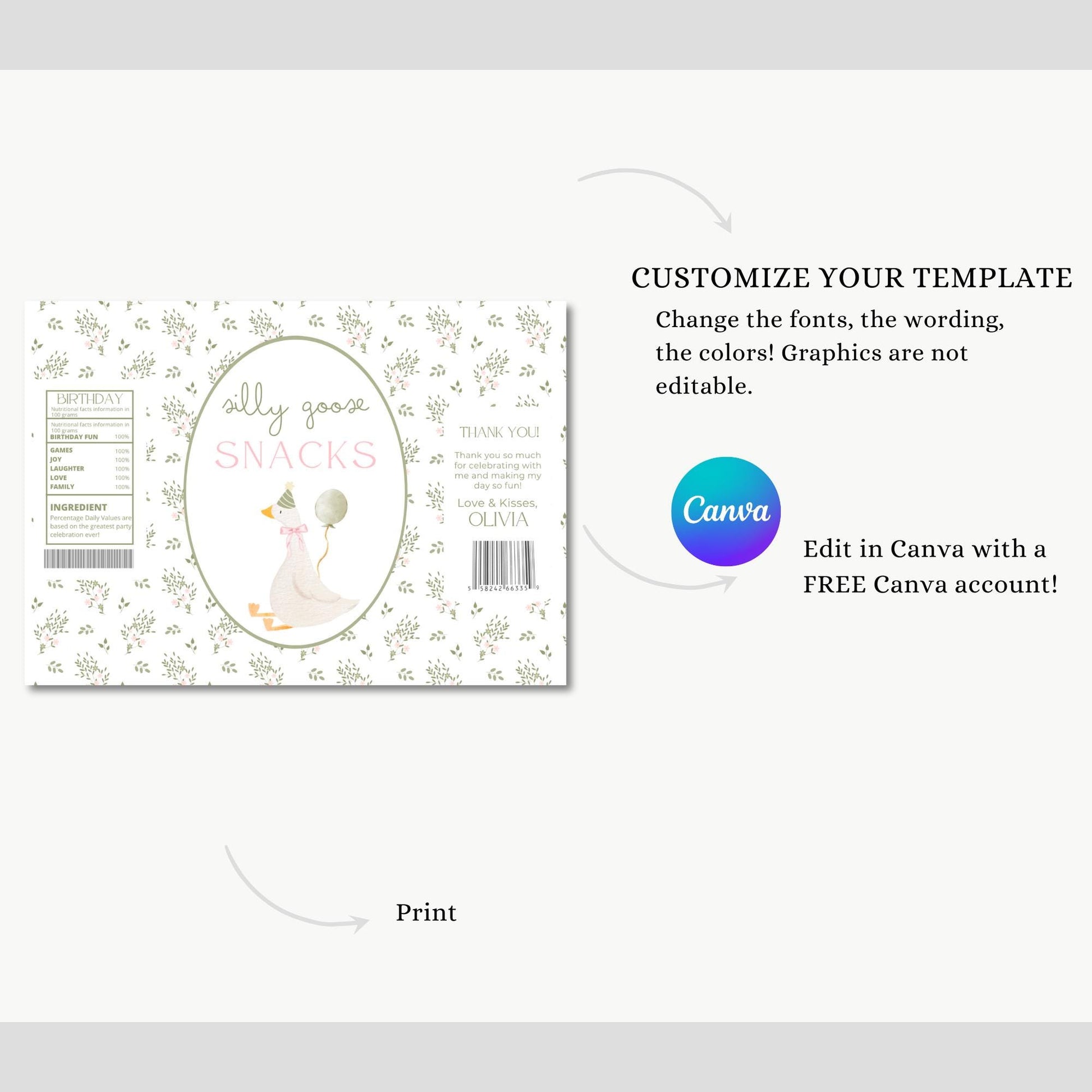 One Silly Goose Birthday Chip Bag Editable Silly Goose Party Chip Bag Label Silly Goose party favors Vintage Floral Goose Printable decor