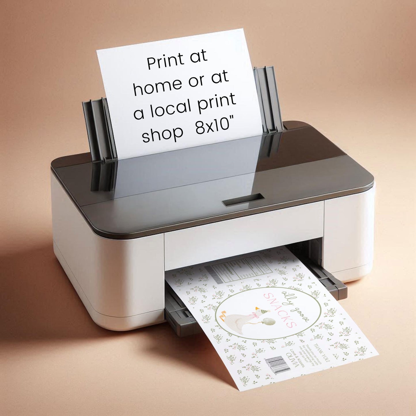 One Silly Goose Birthday Chip Bag Editable Silly Goose Party Chip Bag Label Silly Goose party favors Vintage Floral Goose Printable decor