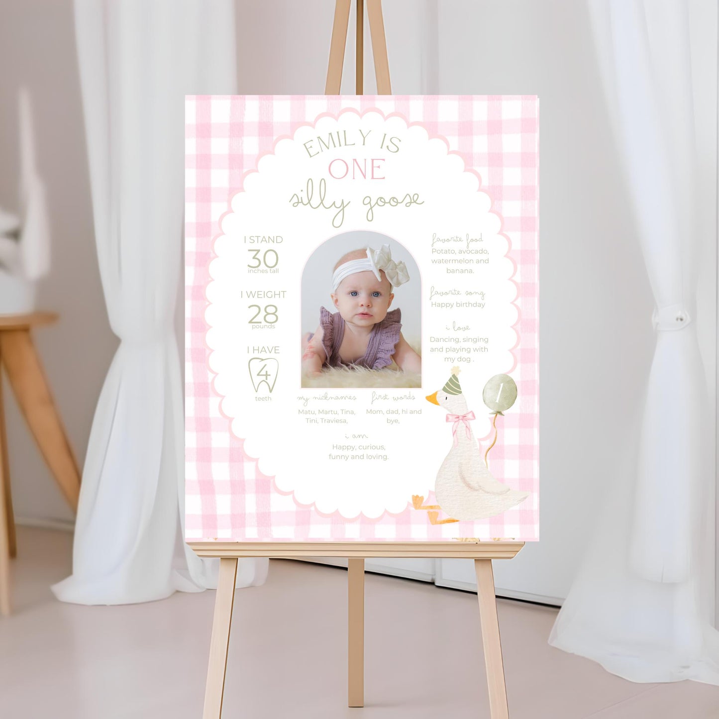 One Silly Goose Birthday Milestone Sign Editable Silly Goose Party Stats Sign 1st Birthday Photo Banner Milestone photo sign