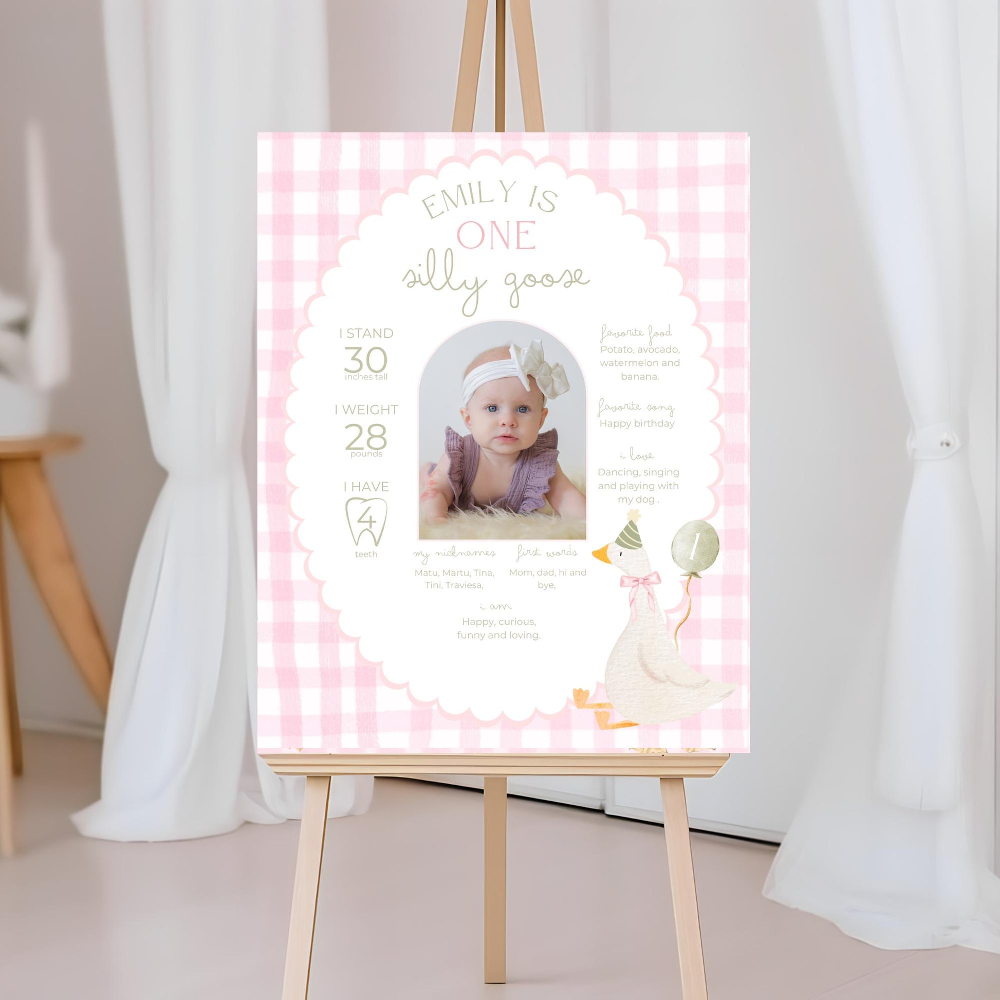 One Silly Goose Birthday Milestone Sign Editable Silly Goose Party Stats Sign 1st Birthday Photo Banner Milestone photo sign