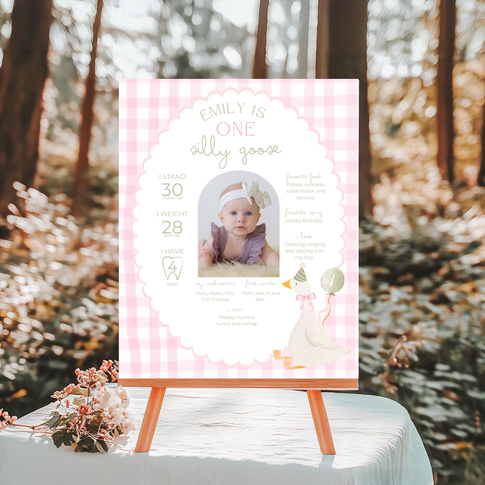 One Silly Goose Birthday Milestone Sign Editable Silly Goose Party Stats Sign 1st Birthday Photo Banner Milestone photo sign