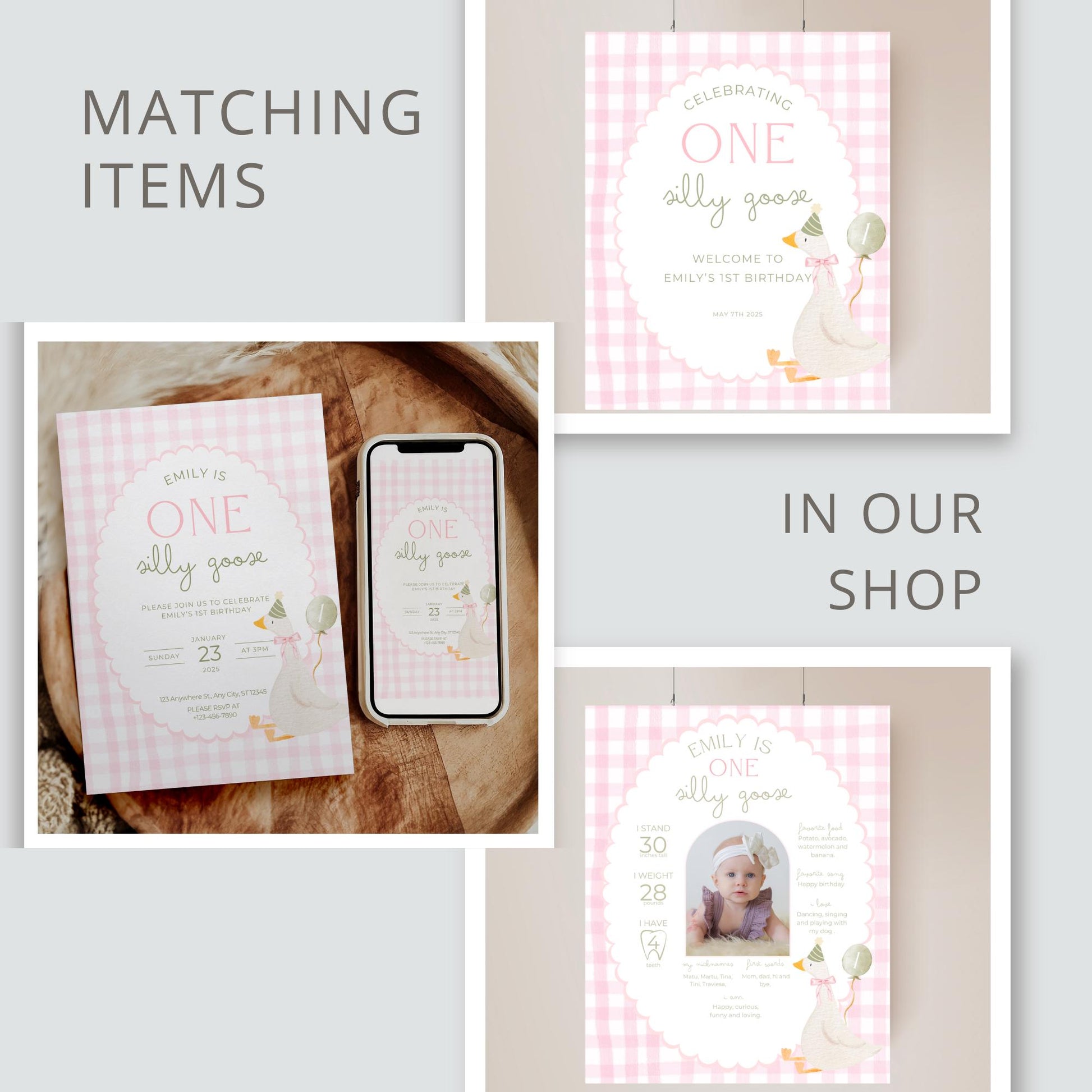 Adopt a Goose Sign Editable Adoption Certificate Silly Goose Party Favor Printable Birthday Decor Download One Silly Goose Birthday Decor