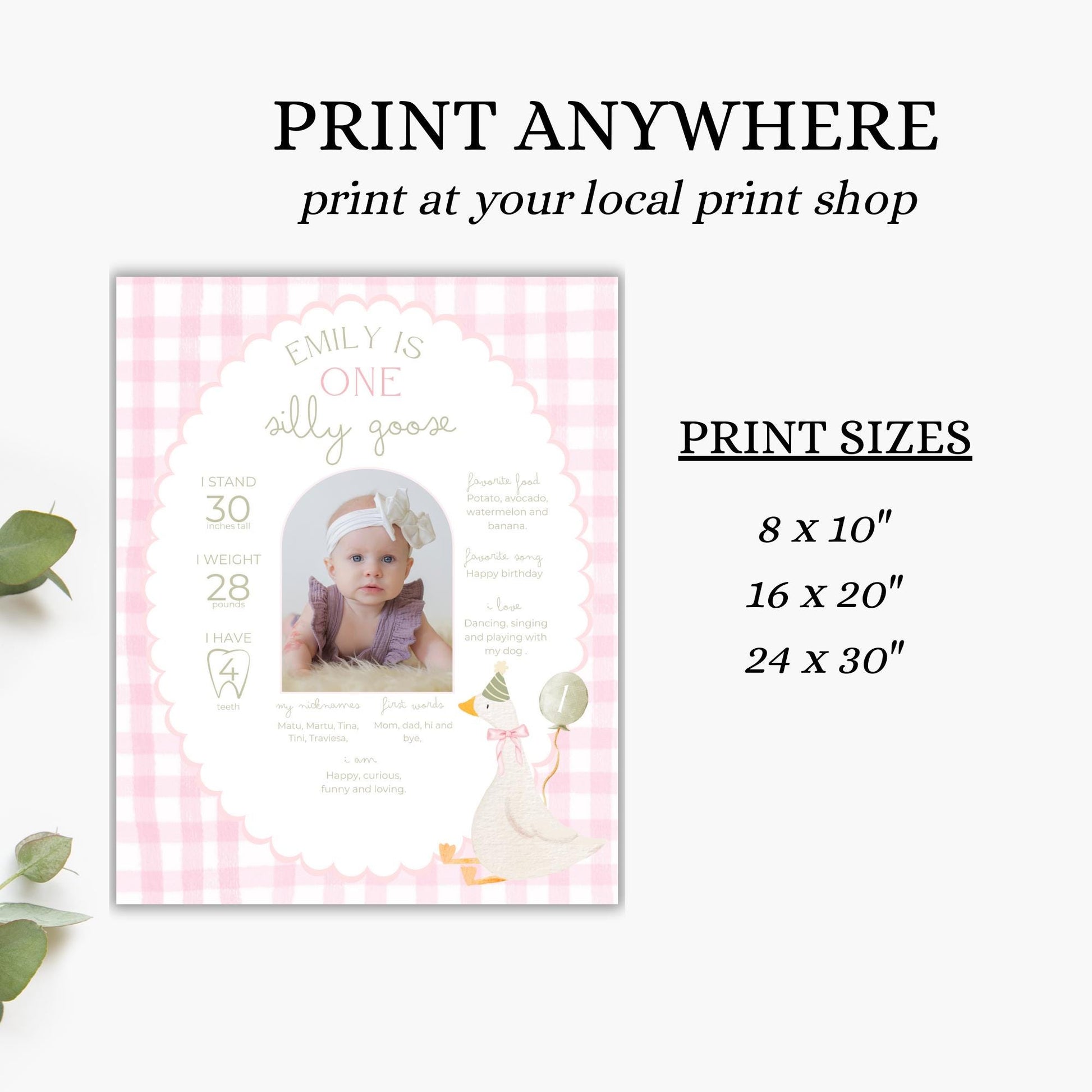 One Silly Goose Birthday Milestone Sign Editable Silly Goose Party Stats Sign 1st Birthday Photo Banner Milestone photo sign