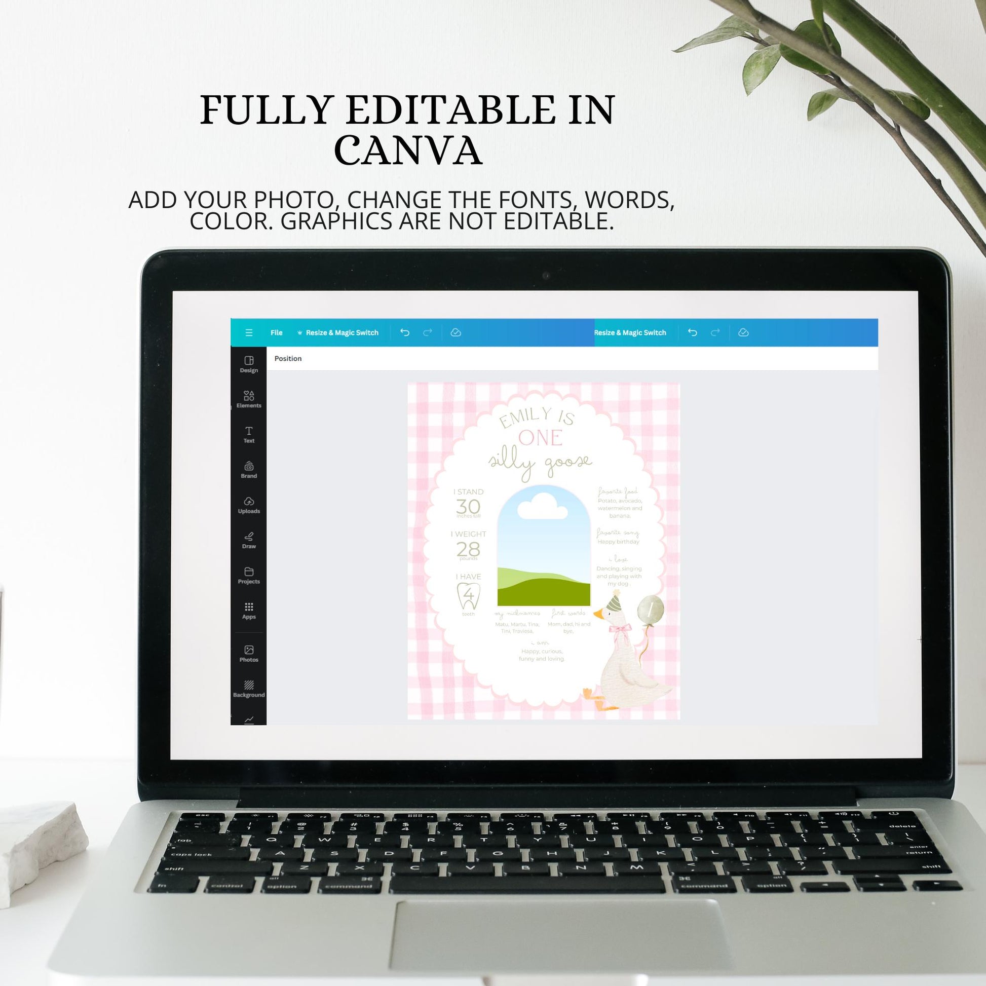 One Silly Goose Birthday Milestone Sign Editable Silly Goose Party Stats Sign 1st Birthday Photo Banner Milestone photo sign