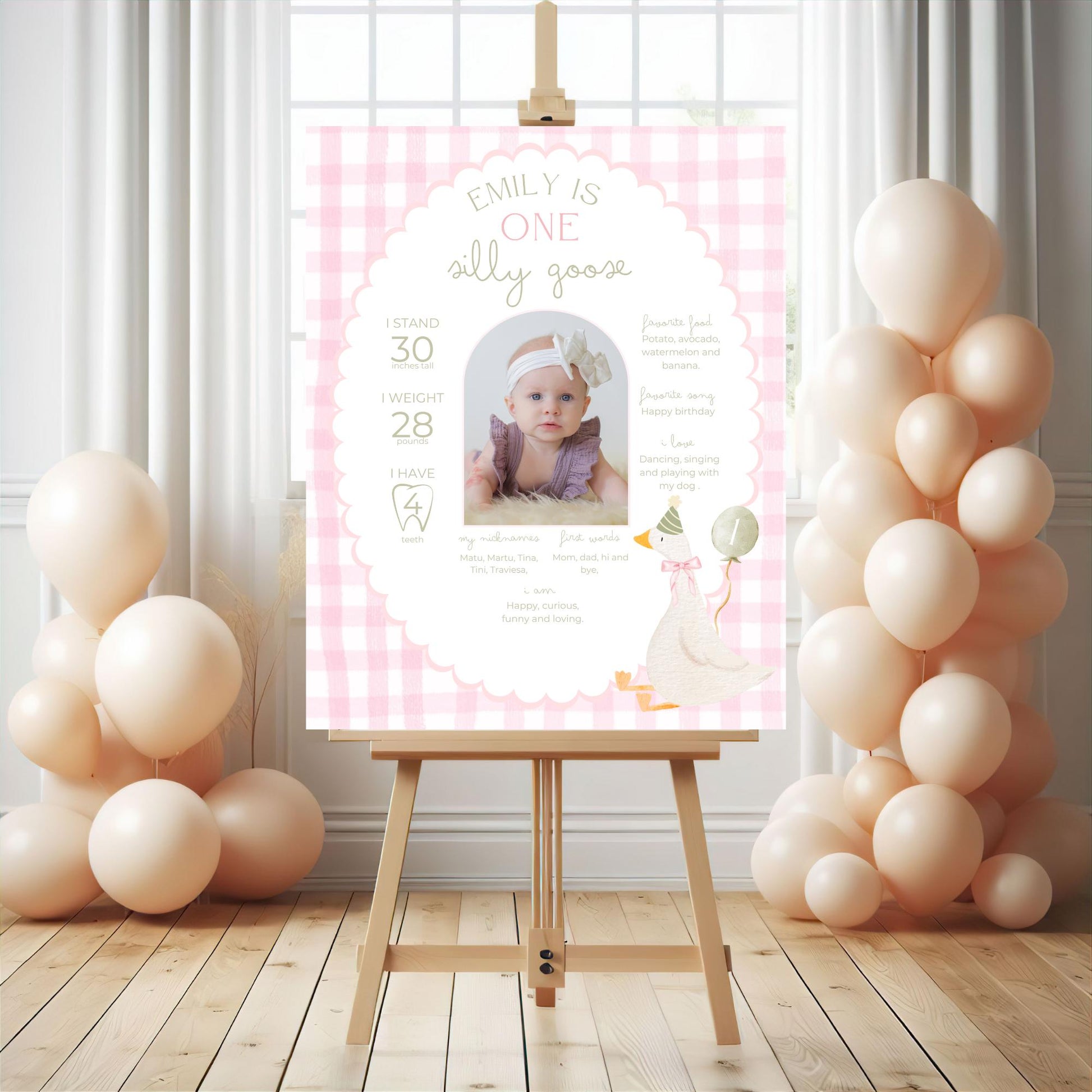 One Silly Goose Birthday Milestone Sign Editable Silly Goose Party Stats Sign 1st Birthday Photo Banner Milestone photo sign