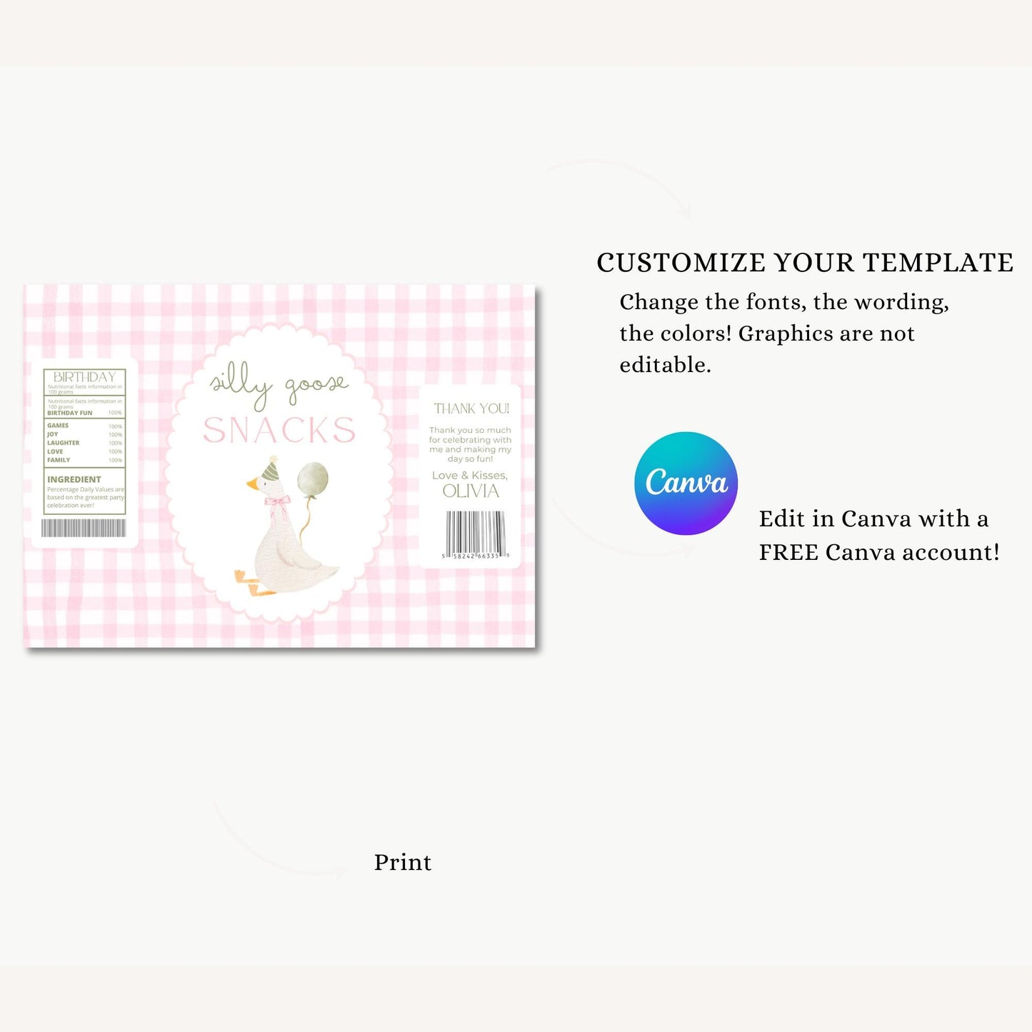 One Silly Goose Birthday Chip Bag Editable Silly Goose Party Chip Bag Label Silly Goose party favors Pink Gingham Goose Printable decor