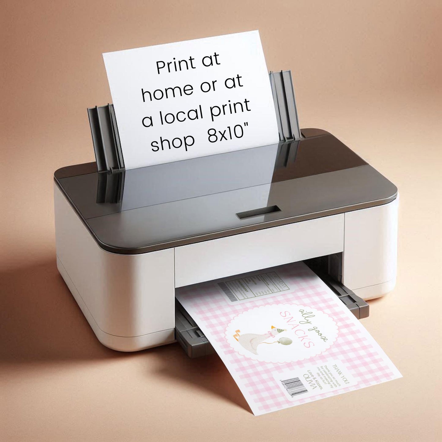 One Silly Goose Birthday Chip Bag Editable Silly Goose Party Chip Bag Label Silly Goose party favors Pink Gingham Goose Printable decor