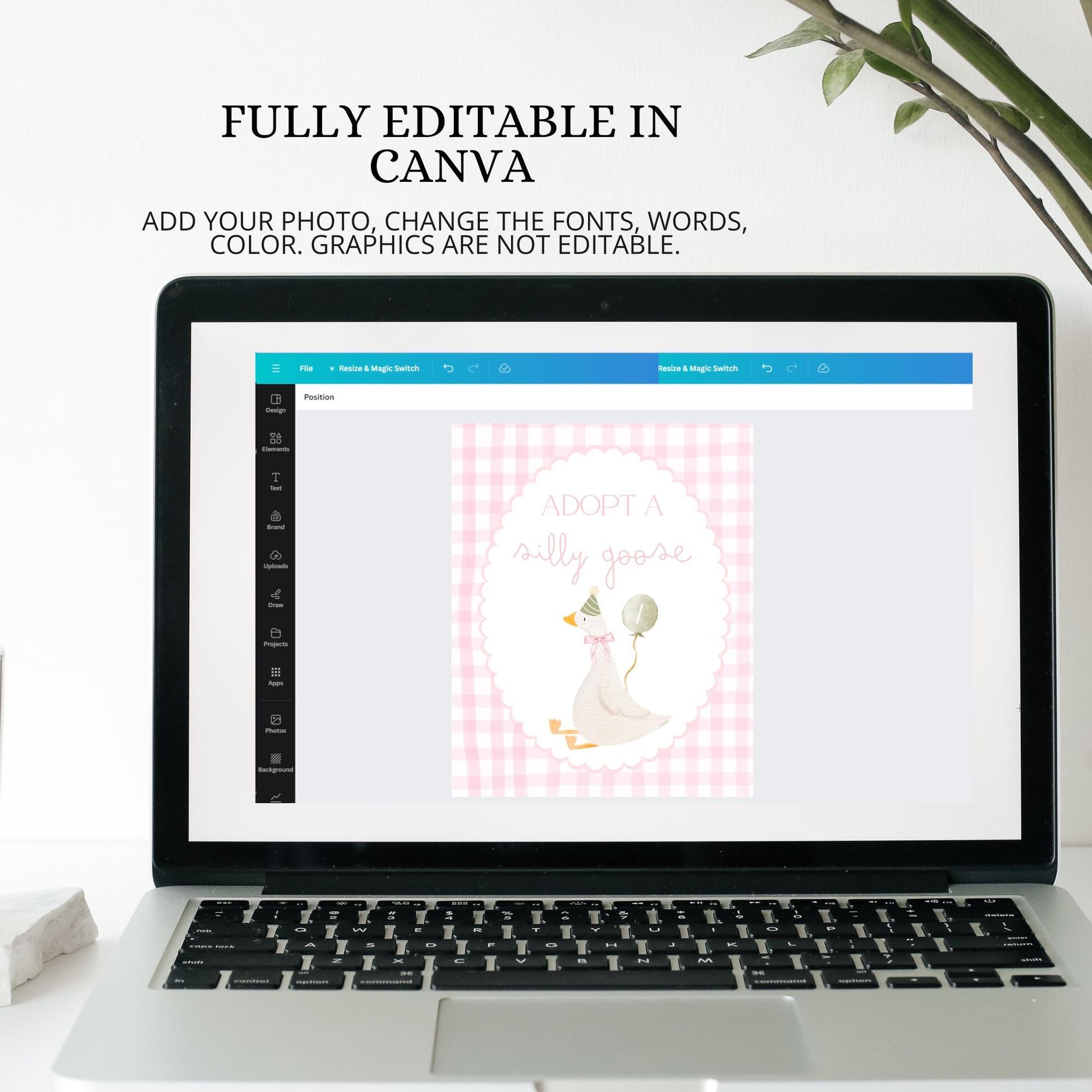 Adopt a Goose Sign Editable Adoption Certificate Silly Goose Party Favor Printable Birthday Decor Download One Silly Goose Birthday Decor