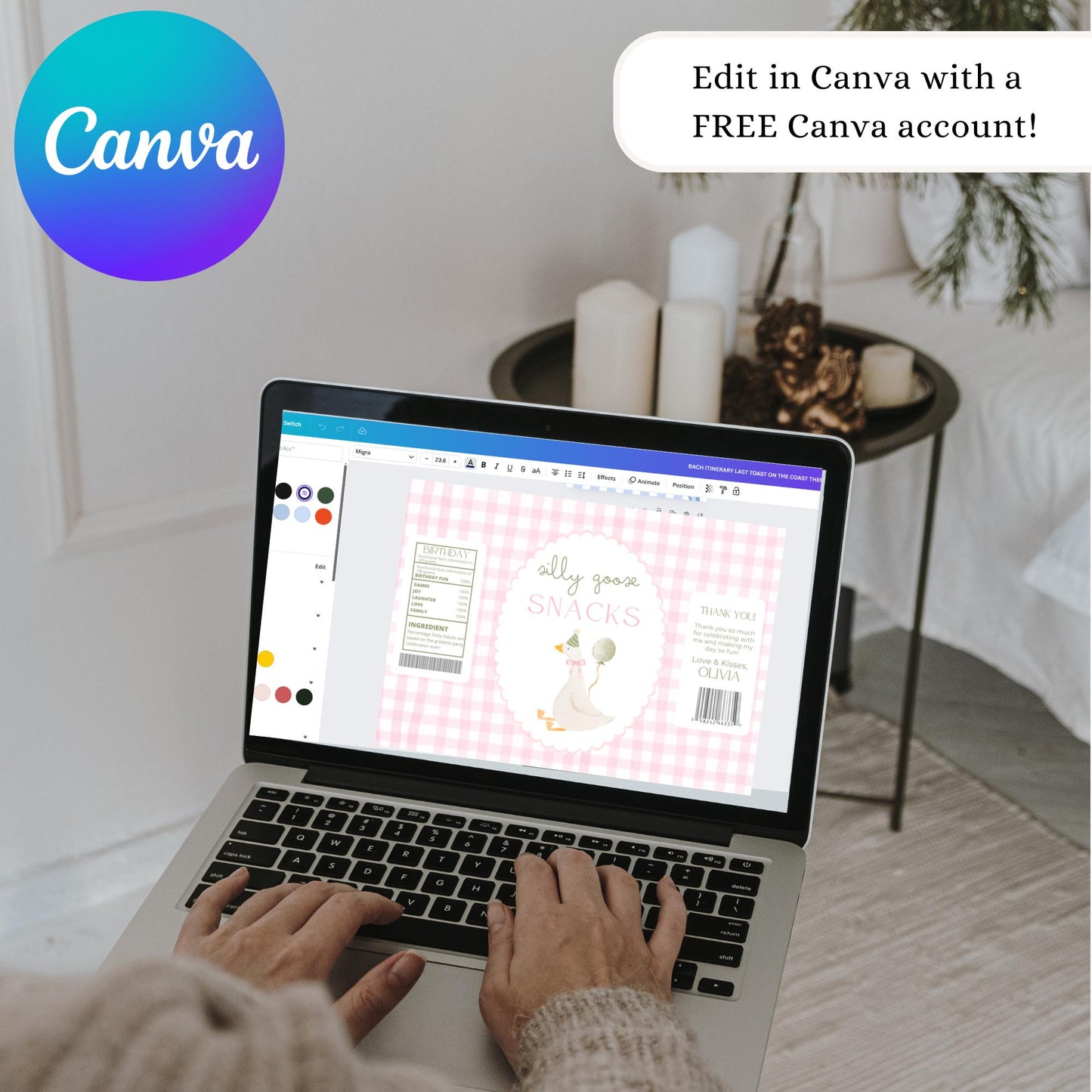 One Silly Goose Birthday Chip Bag Editable Silly Goose Party Chip Bag Label Silly Goose party favors Pink Gingham Goose Printable decor